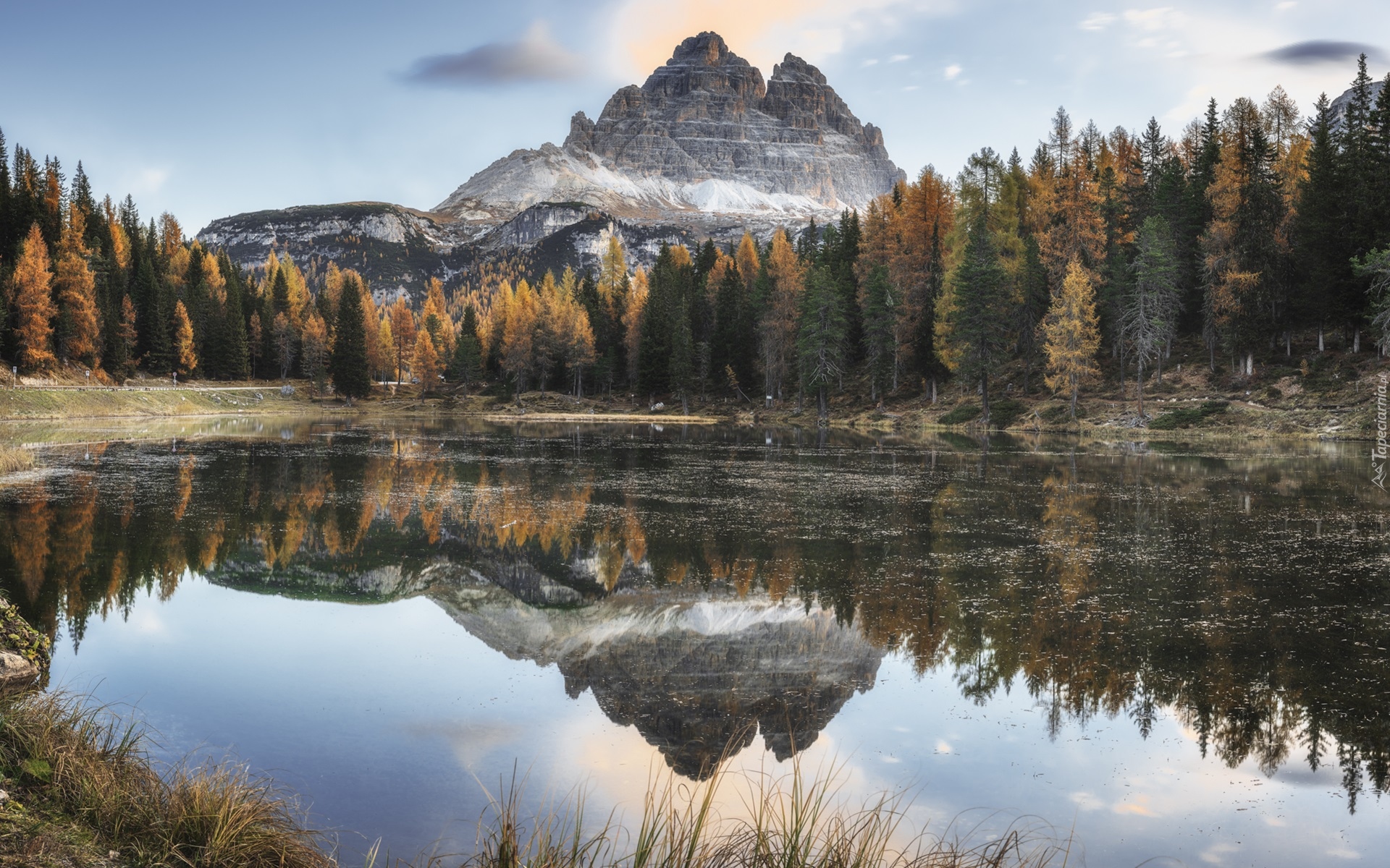 Jezioro, Antorno Lake, Góry, Dolomity, Masyw, Tre Cime di Lavaredo, Drzewa, Prowincja Belluno, Włochy