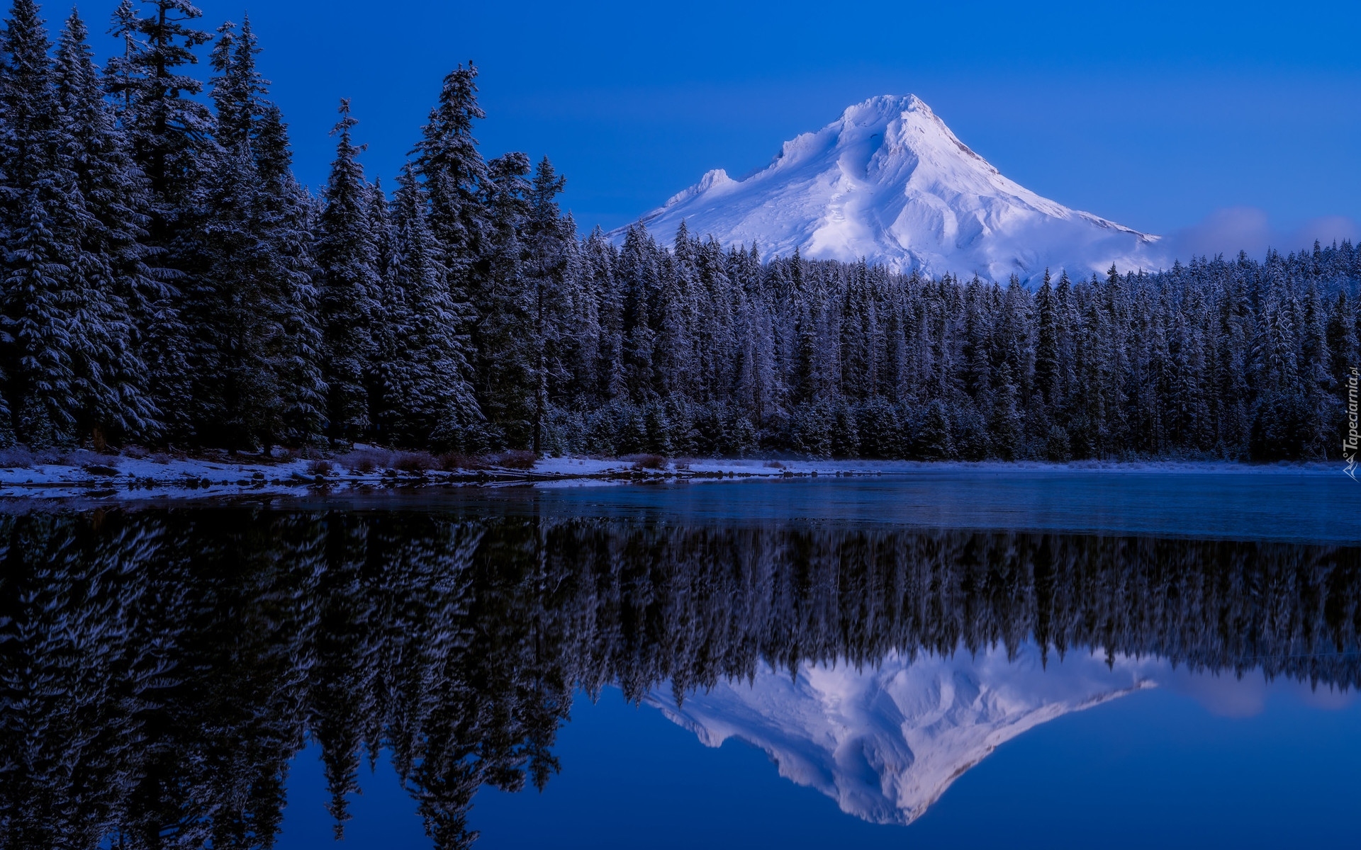 Stany Zjednoczone, Oregon, Góra, Stratowulkan, Mount Hood, Jezioro, Trillium Lake, Drzewa, Odbicie