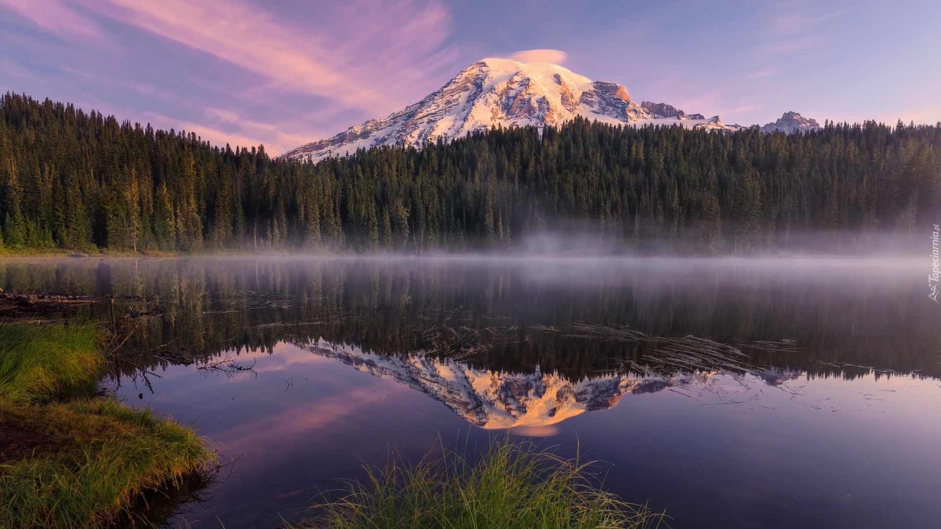 Góra, Stratowulkan Munt Rainier, Park Narodowy Mount Rainier, Drzewa, Las, Mgła, Odbicie, Jezioro, Bench Lake, Stan Waszyngton, Stany Zjednoczone