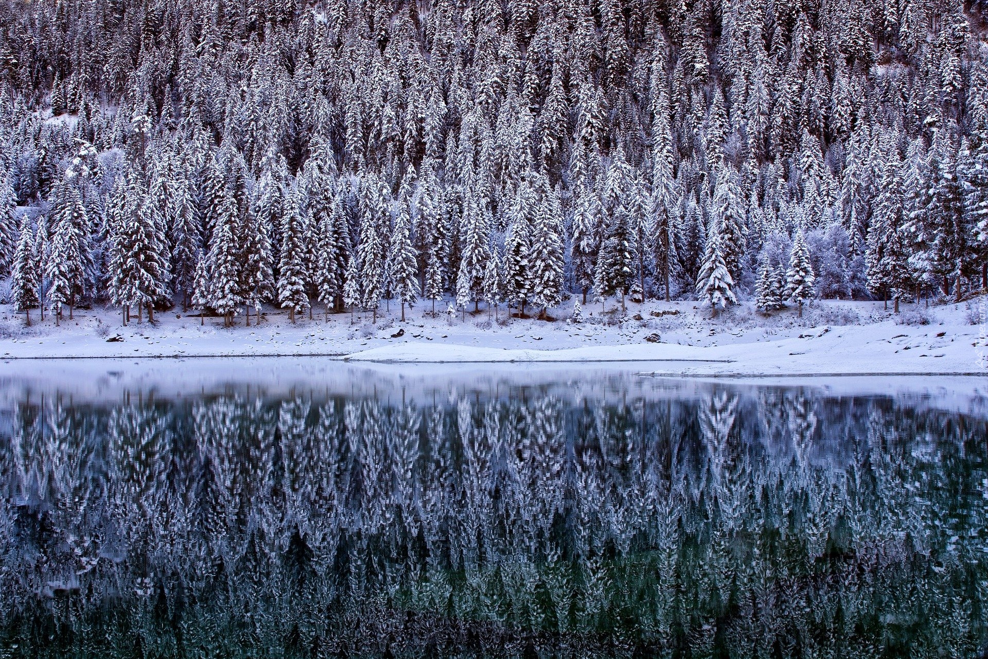 Zima, Jezioro, Drzewa, Śnieg, Odbicie