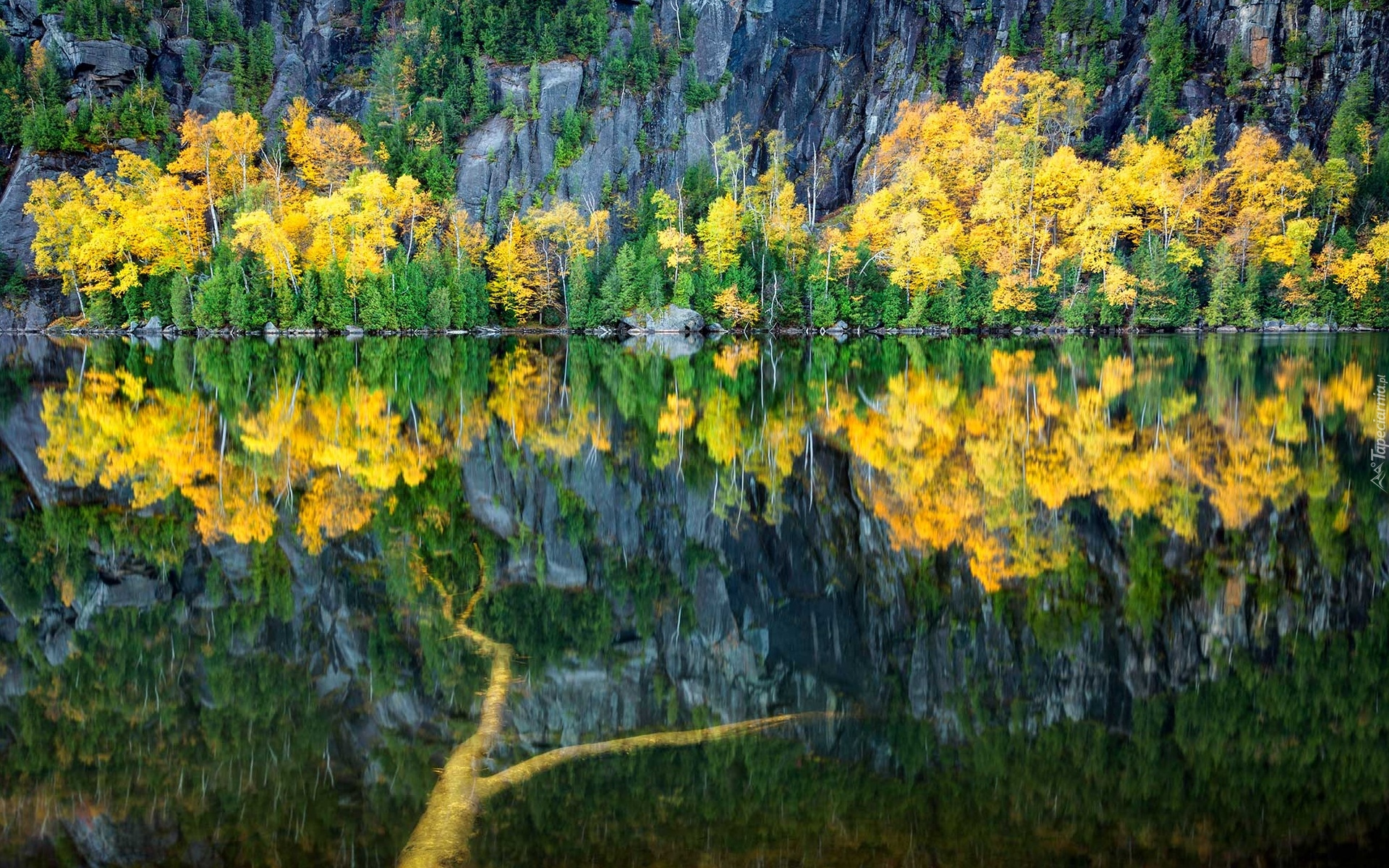 Jezioro, Skały, Drzewa, Jesień, Odbicie