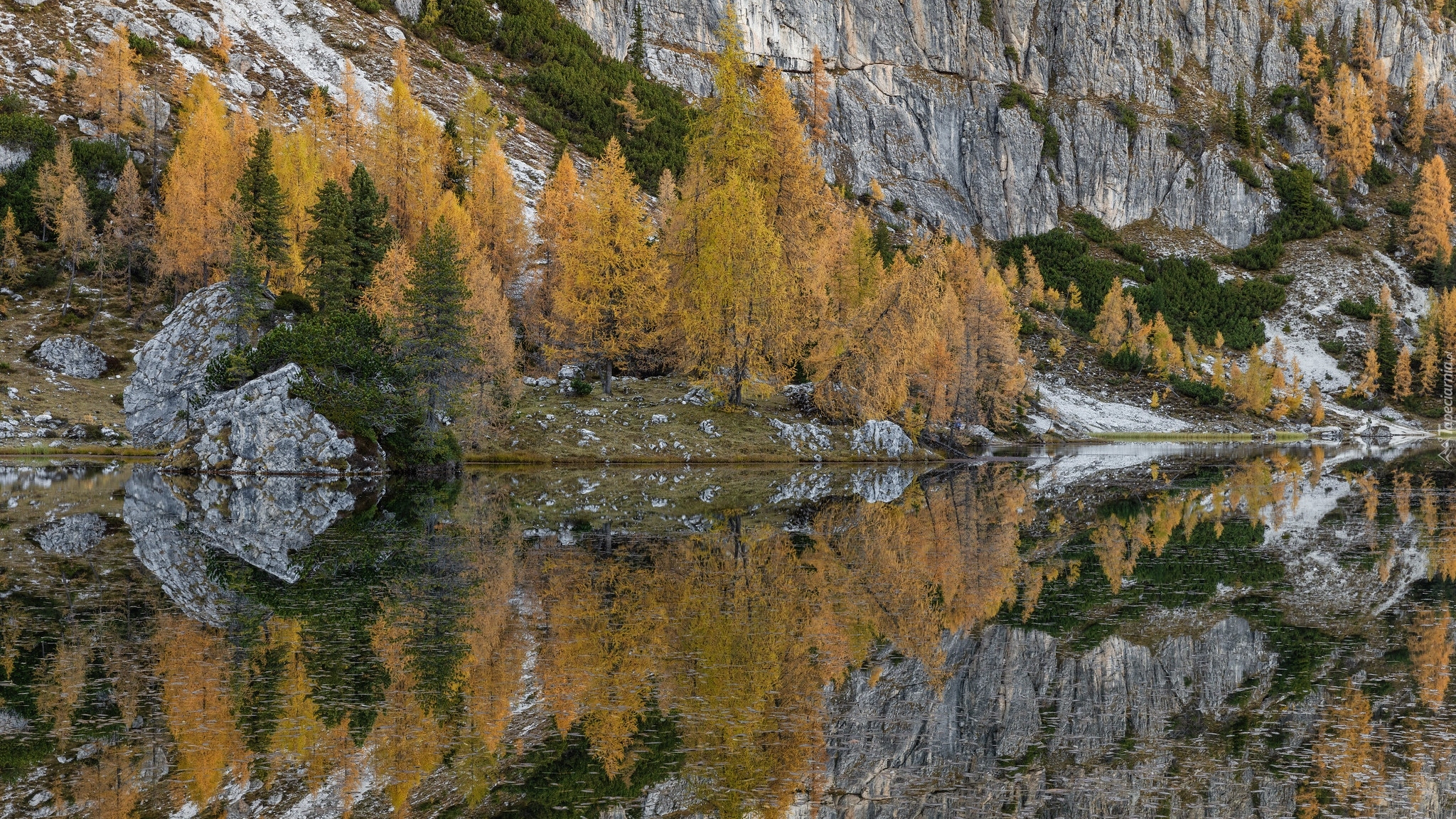 Góry, Dolomity, Skały, Jezioro, Lago Federa, Drzewa, Modrzewie, Odbicie, Włochy