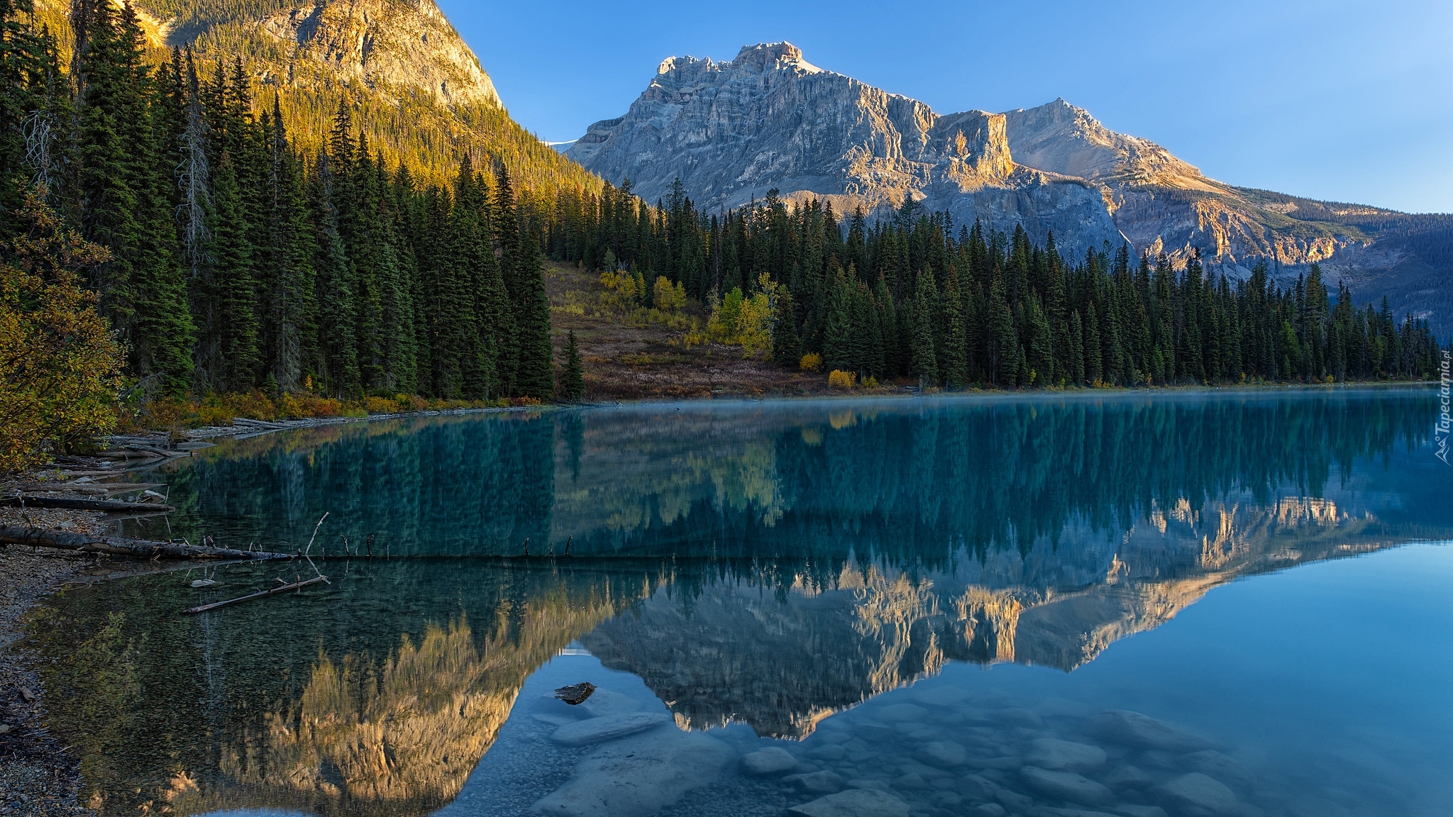 Góry, Jezioro, Emerald Lake, Las, Drzewa, Park Narodowy Yoho, Kolumbia Brytyjska, Kanada