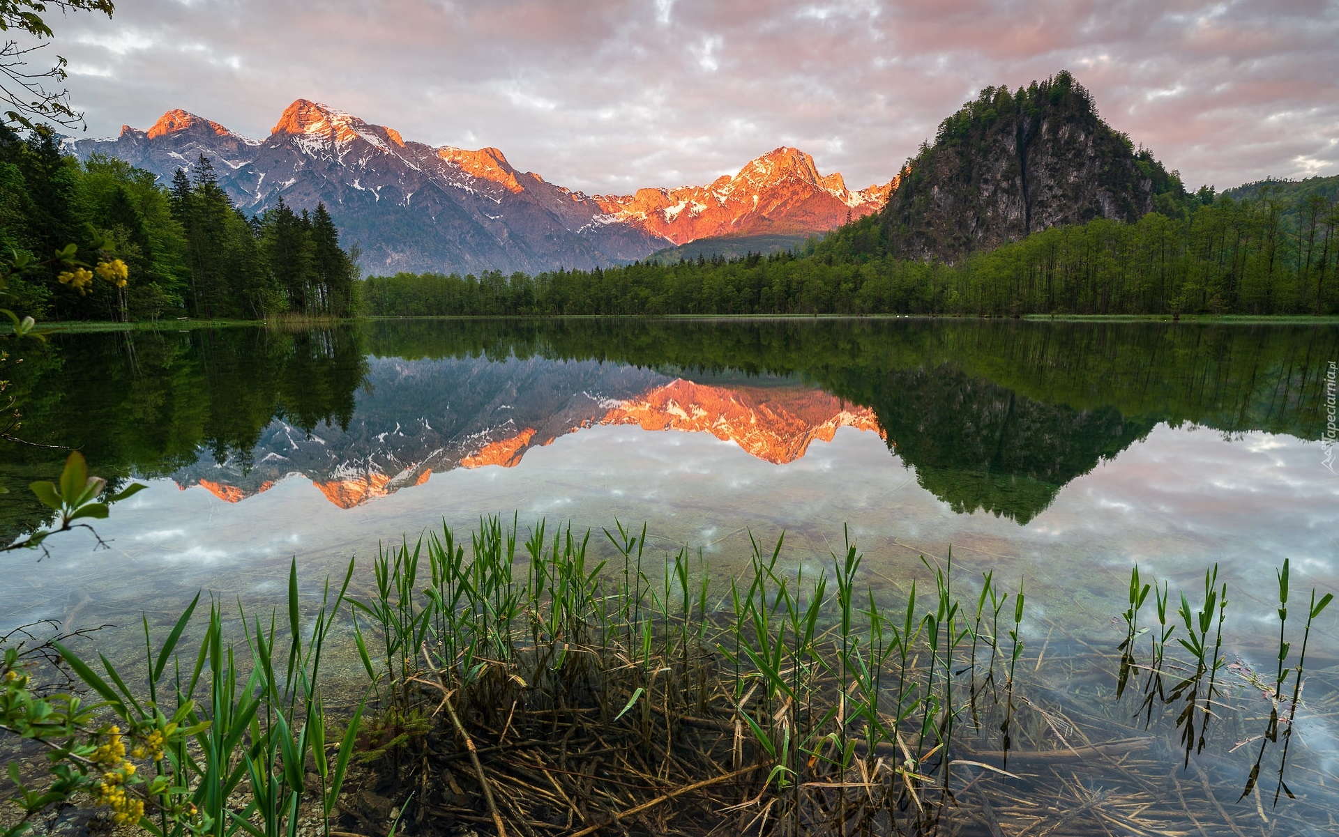 Góry, Jezioro Almsee, Odbicie, Las, Drzewa, Chmury, Austria