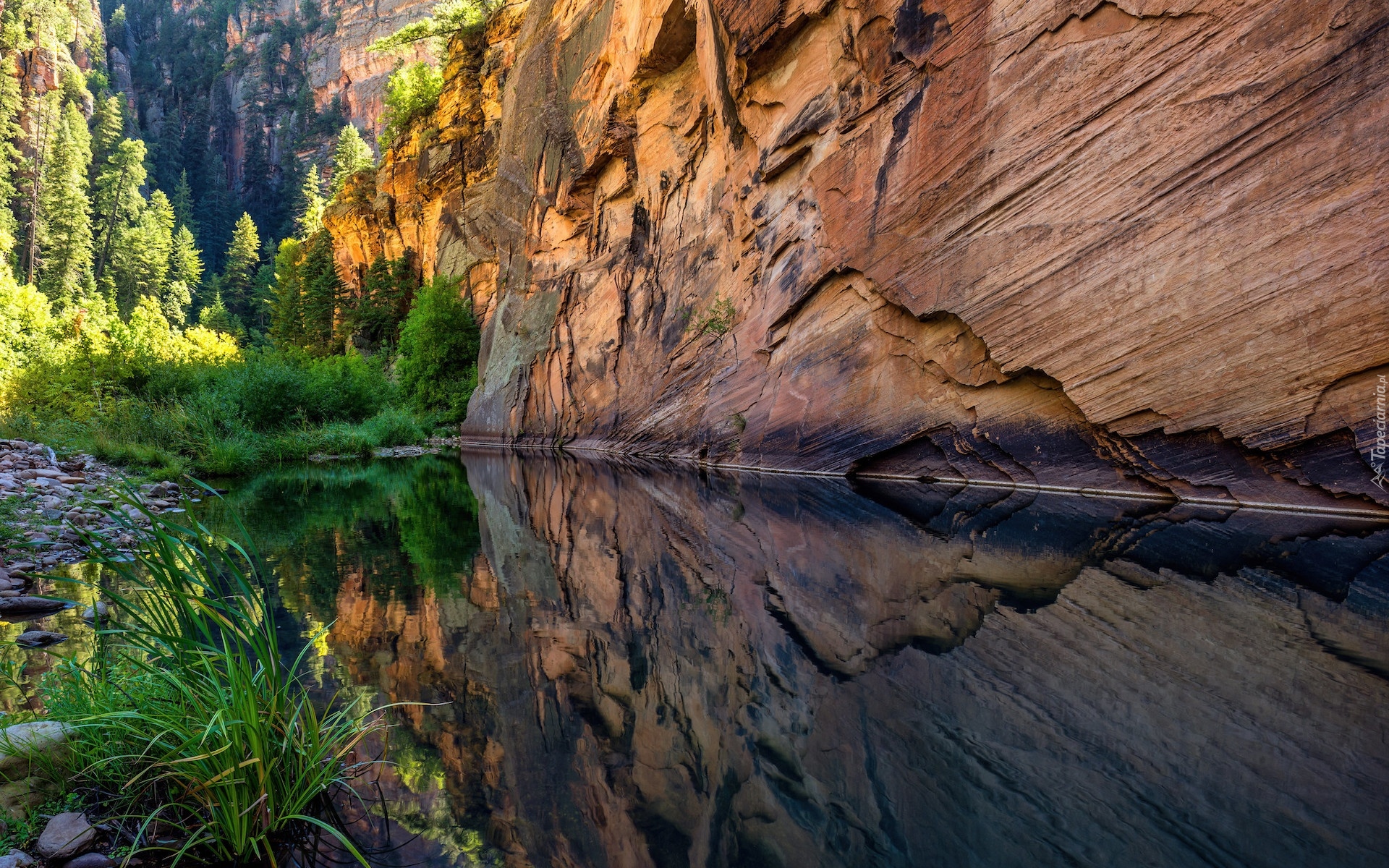 Skały, Rzeka, West Clear Creek, Krzewy, Odbicie, Arizona, Stany Zjednoczone