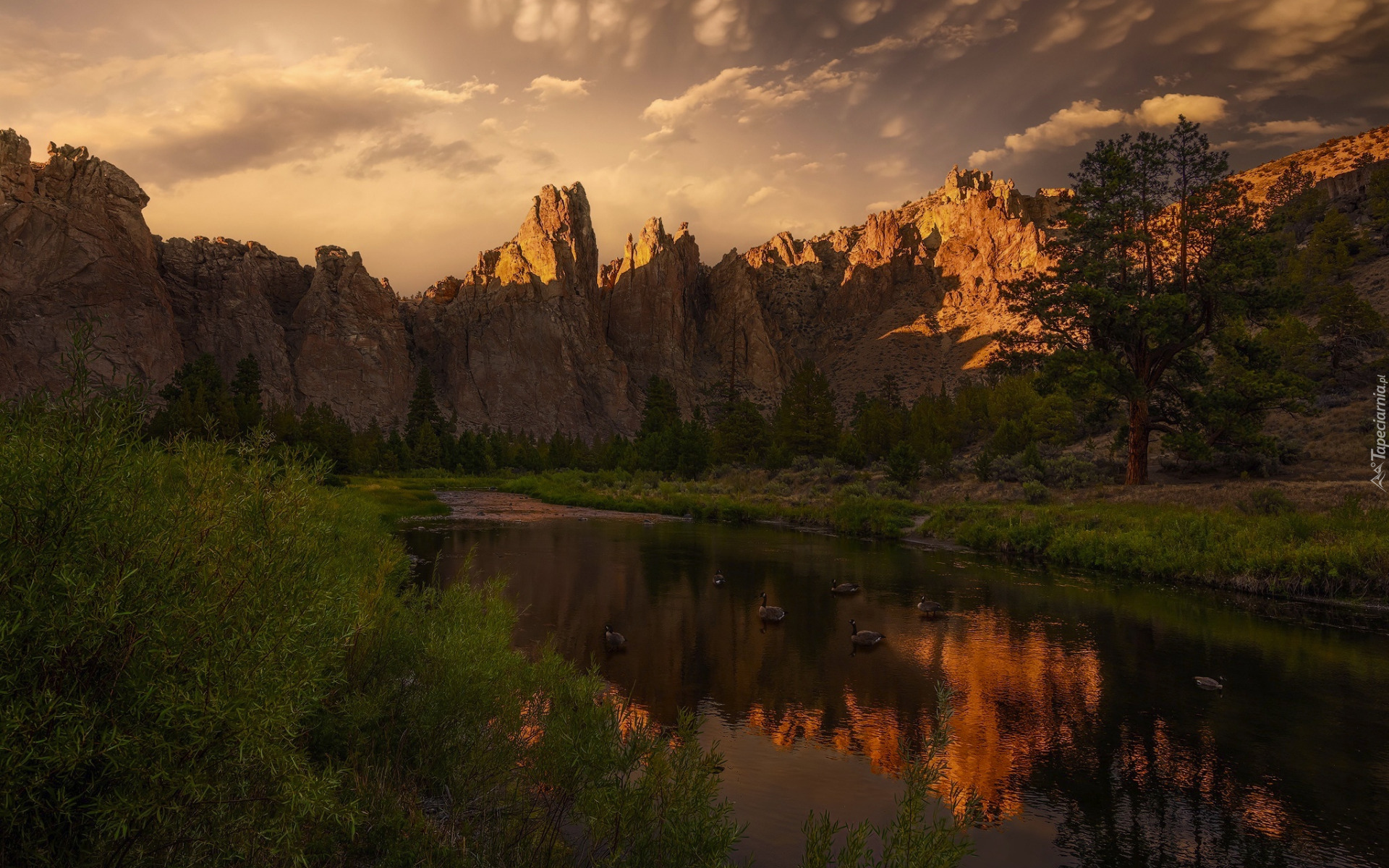 Góry, Skały, Ptaki, Kaczki, Drzewa, Trawa, Chmury, Smith Rock, Rzeka, Crooked River, Oregon, Stany Zjednoczone