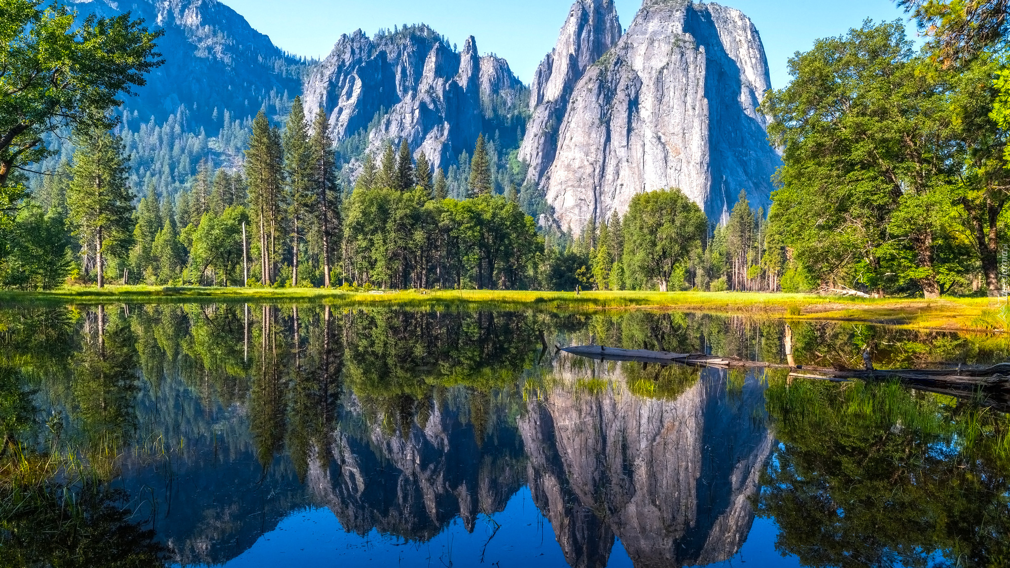 Góry, Drzewa, Jezioro, Odbicie, Park Narodowy Yosemite, Stan Kalifornia, Stany Zjednoczone