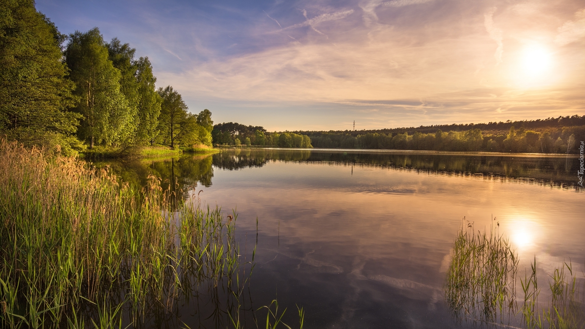 Jezioro, Wschód słońca, Drzewa, Trawy, Odbicie