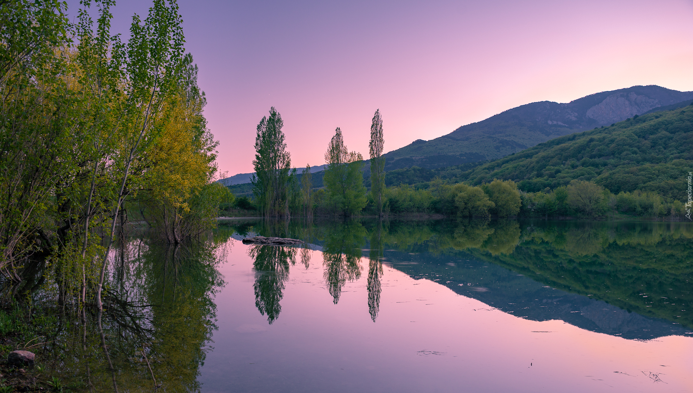 Jezioro, Góry, Drzewa, Wzgórza