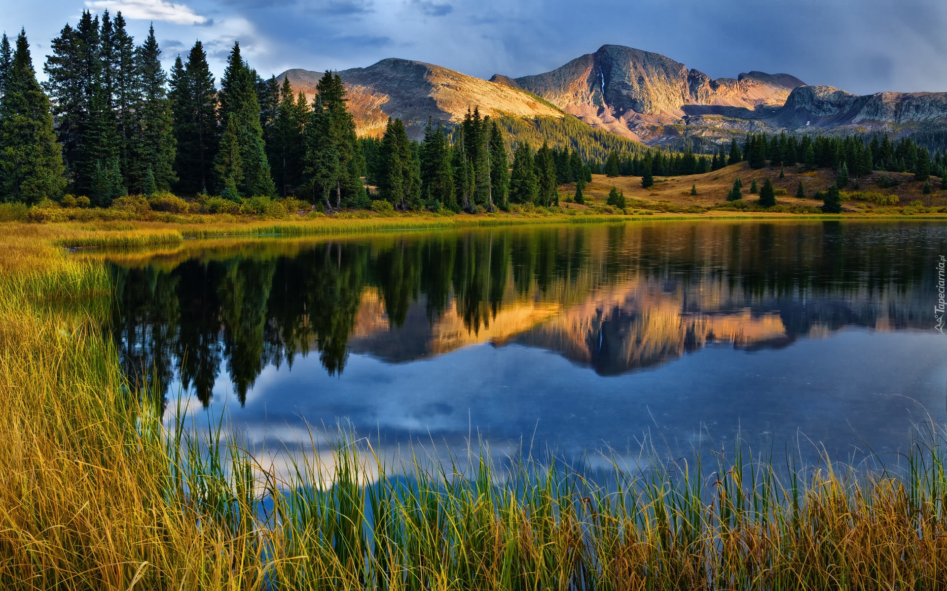 Stany Zjednoczone, Kolorado, San Juan Mountains, Molas Lake, Góry, Odbicie, Jezioro, Las, Drzewa, Trawa, Chmury
