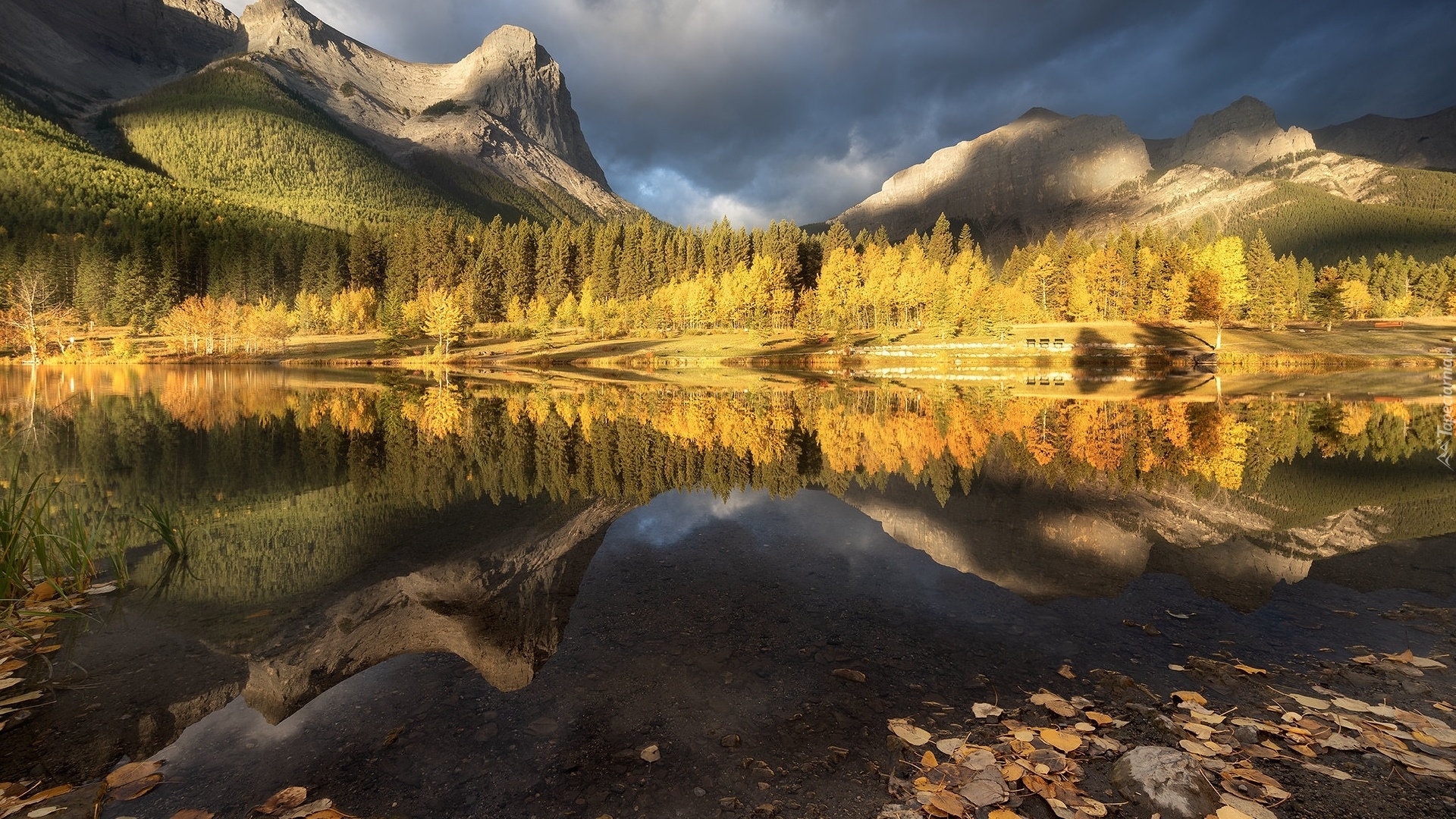 Jesień, Jezioro, Grassi Lake, Drzewa, Las, Góry Skaliste, Szczyt Ha Ling, Canmore, Prowincja Alberta, Kanada