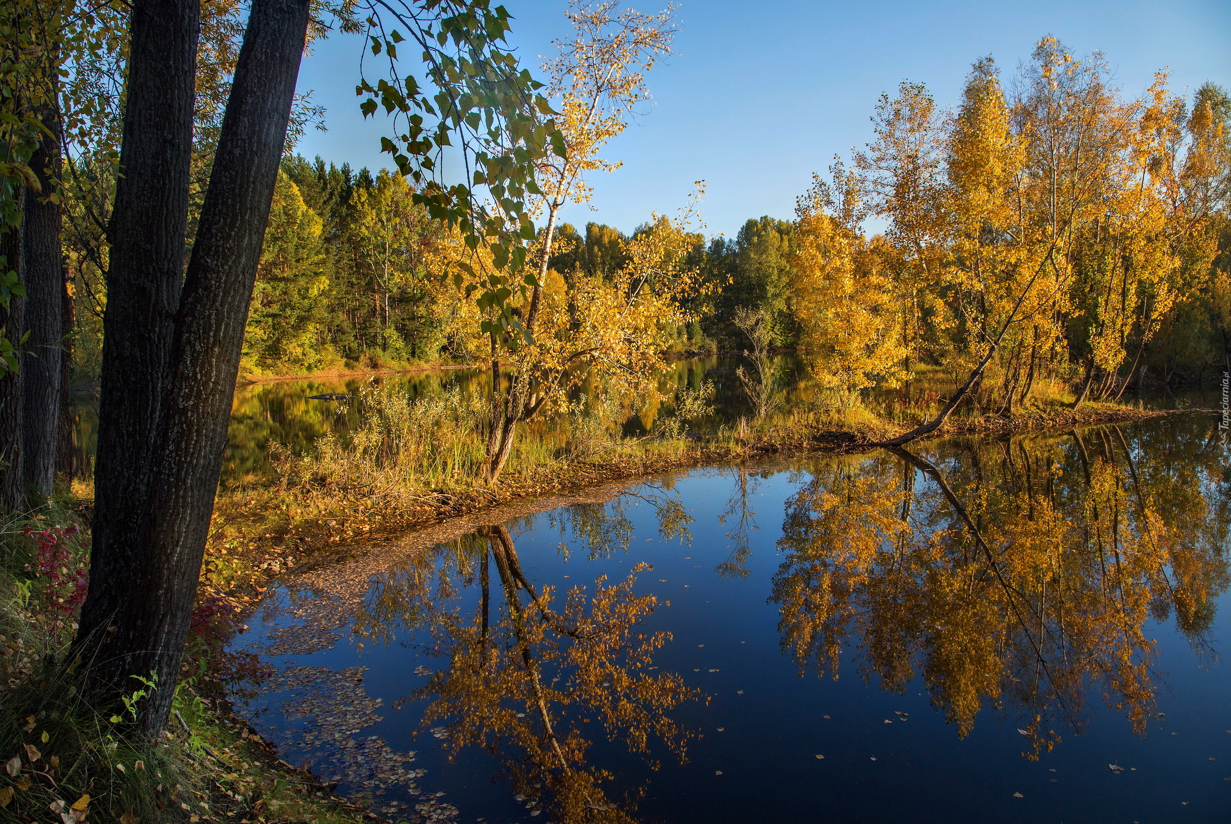 Jesień, Jezioro, Odbicie, Drzewa