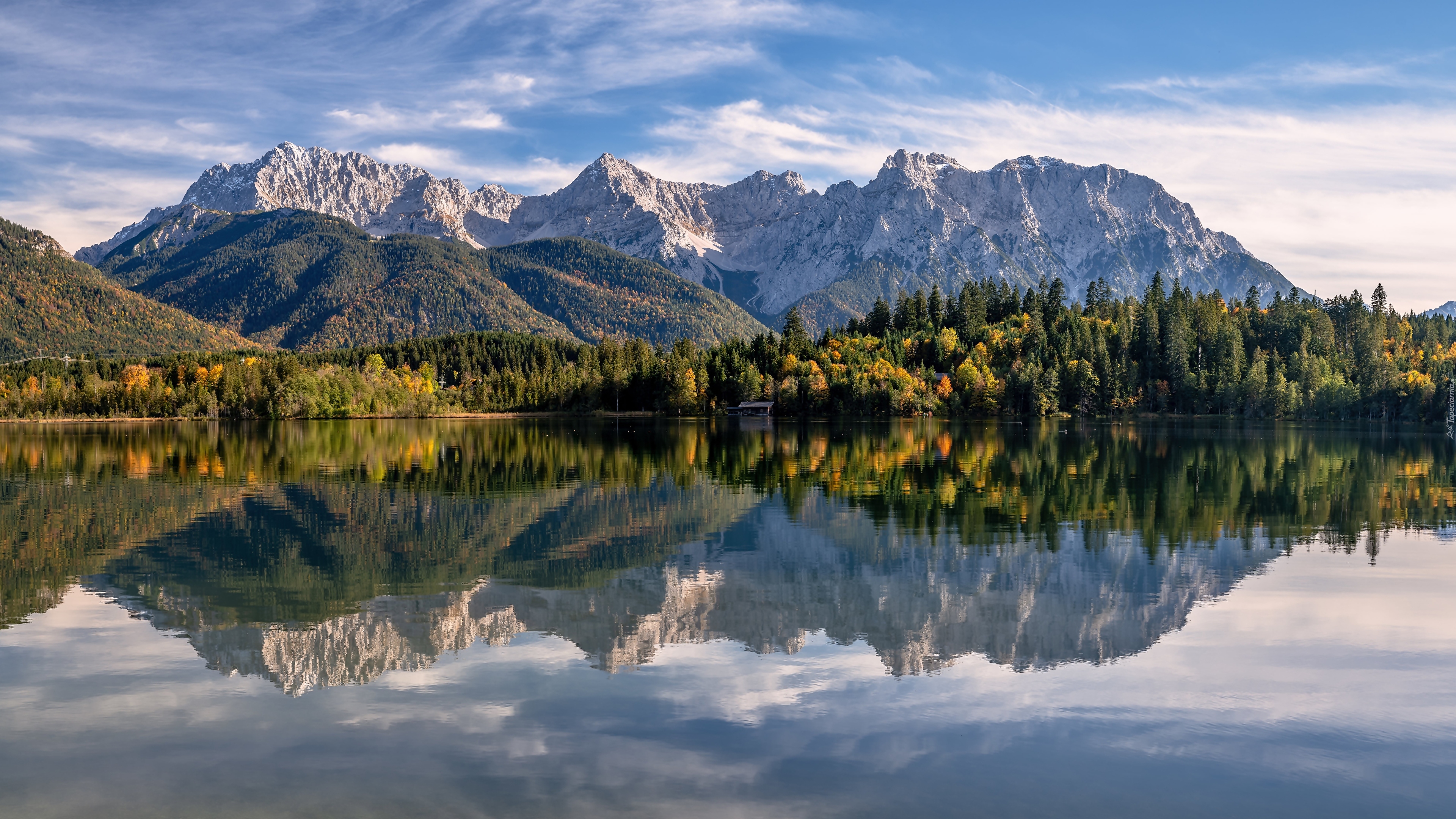 Niemcy, Bawaria, Góry, Pasmo Karwendel, Jezioro Eibsee, Las, Drzewa