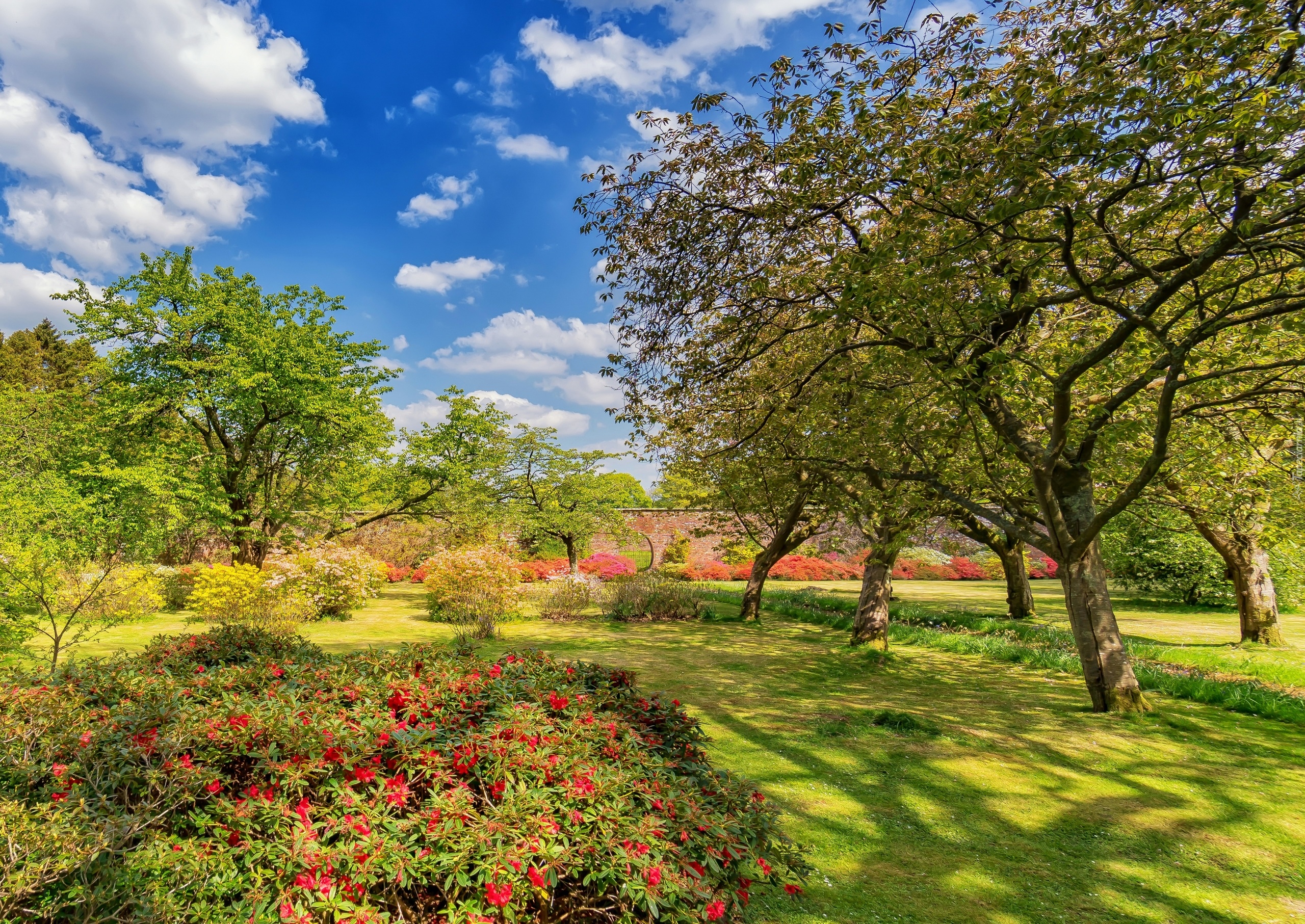 Szkocja, Girvan, Ogród Bargany Gardens, Lato, Drzewa, Kwiaty