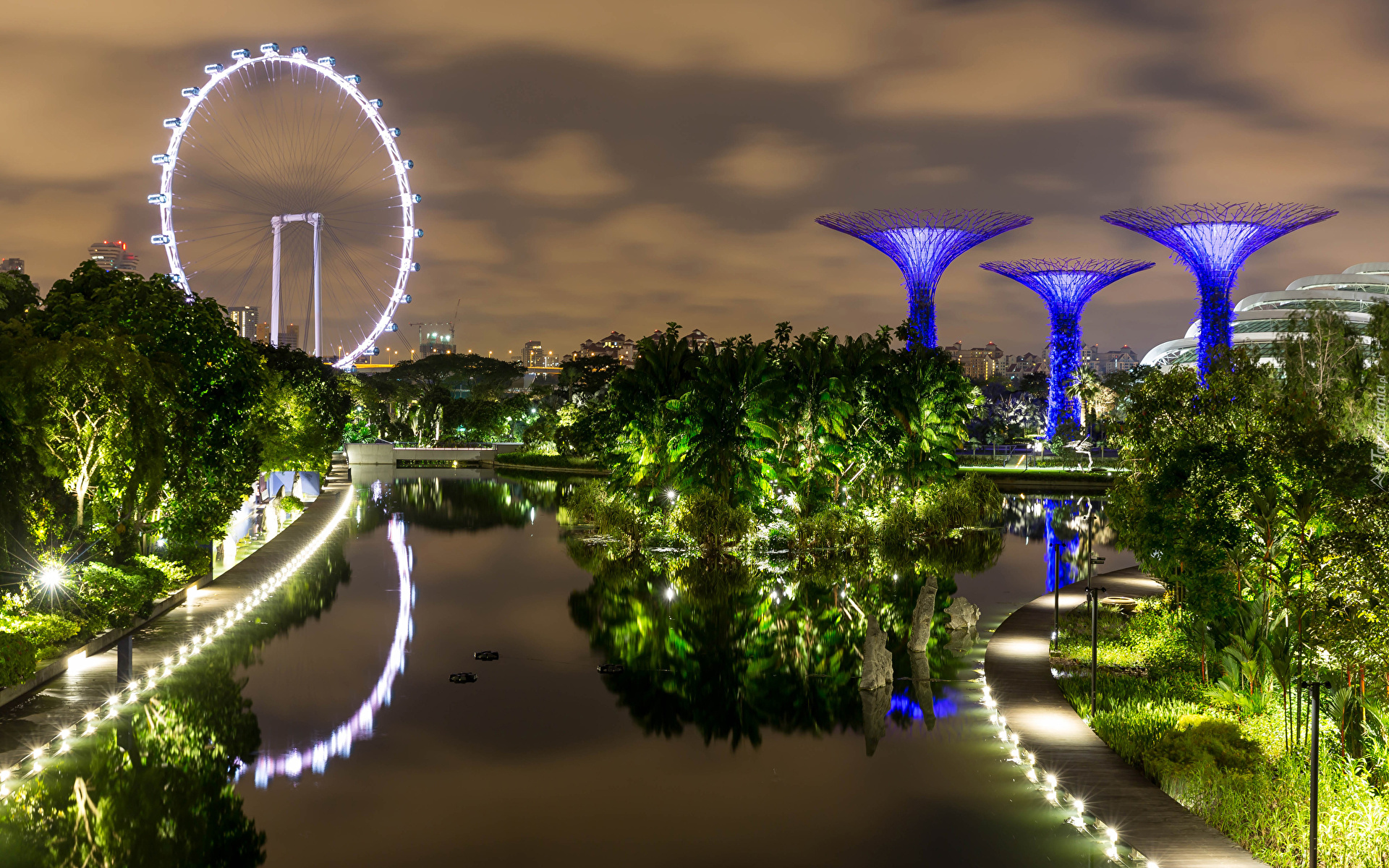 Staw, Ogród, Gardens by the Bay, Singapur