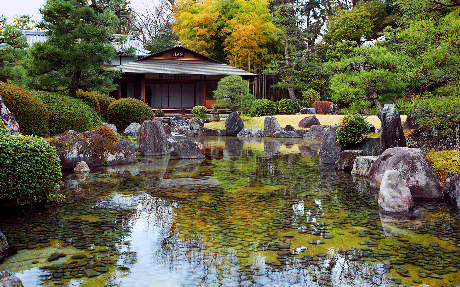 Ogród japoński Seiryu-en garden, Zamek Nijo, Kioto, Japonia, Staw, Kamienie, Drzewa, Krzewy