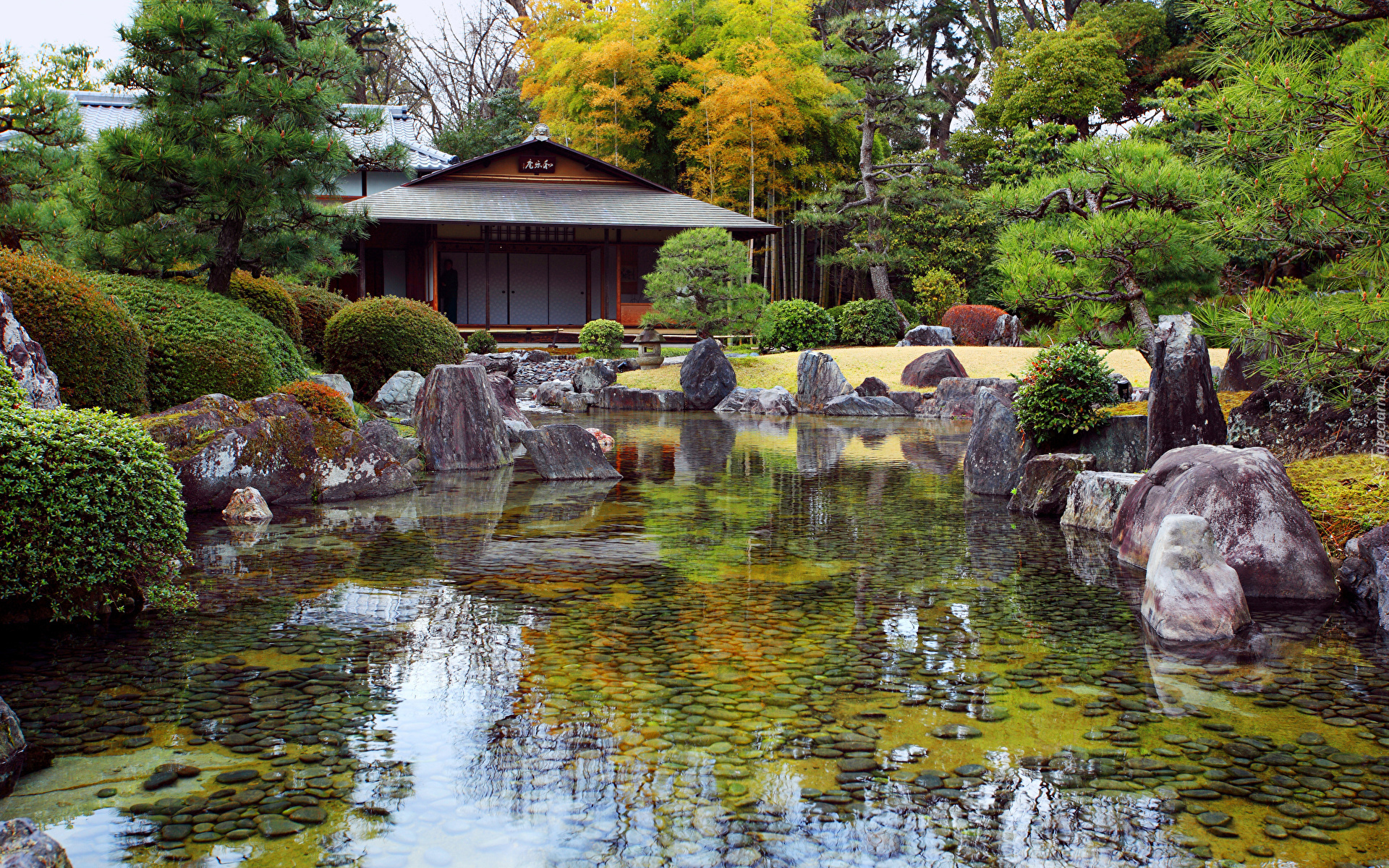 Ogród japoński Seiryu-en garden, Zamek Nijo, Kioto, Japonia, Staw, Kamienie, Drzewa, Krzewy