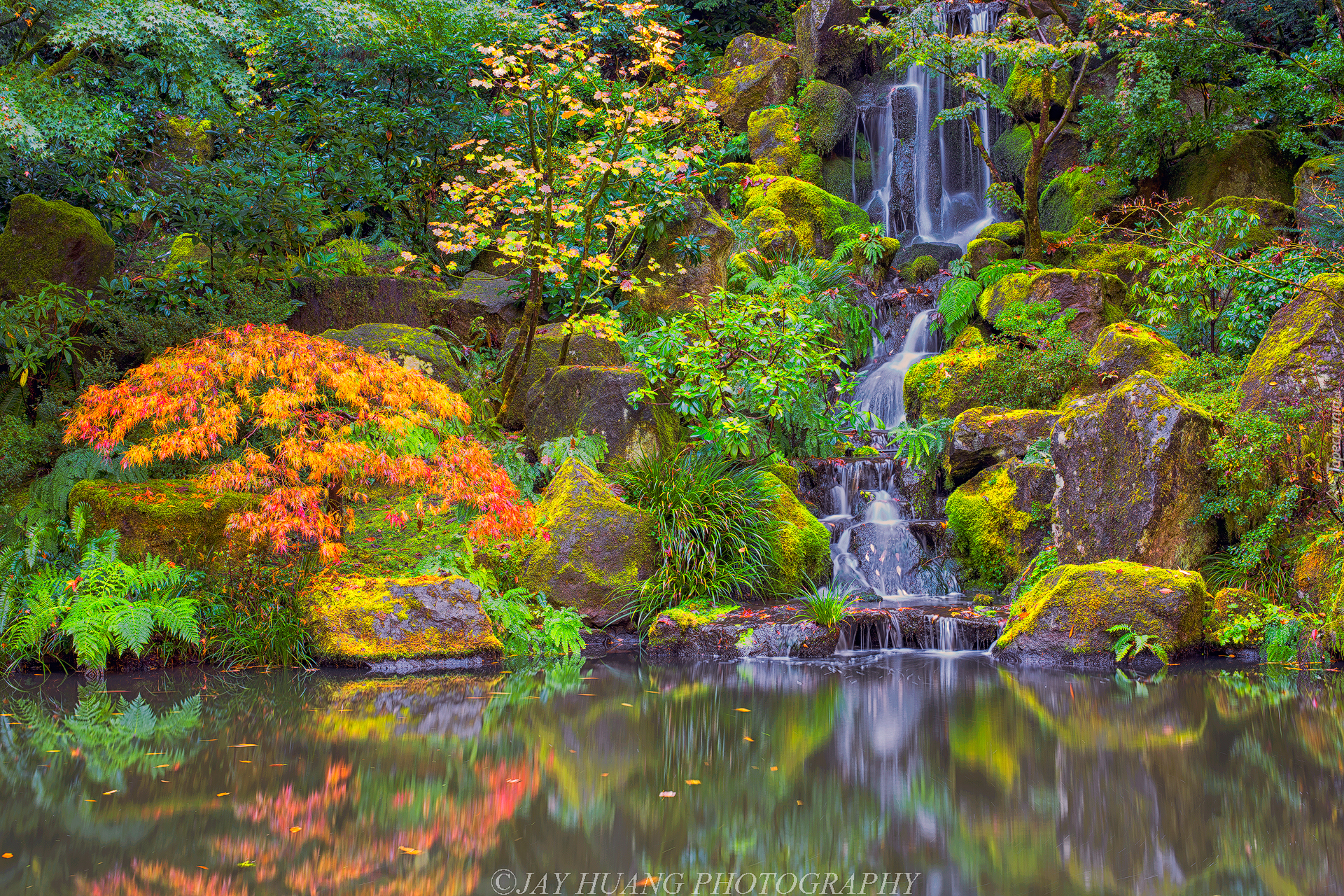 Ogród japoński, Drzewa, Krzewy, Roślinność, Wodospad, Skały, Portland Japanese Garden, Portland, Oregon, Stany Zjednoczone