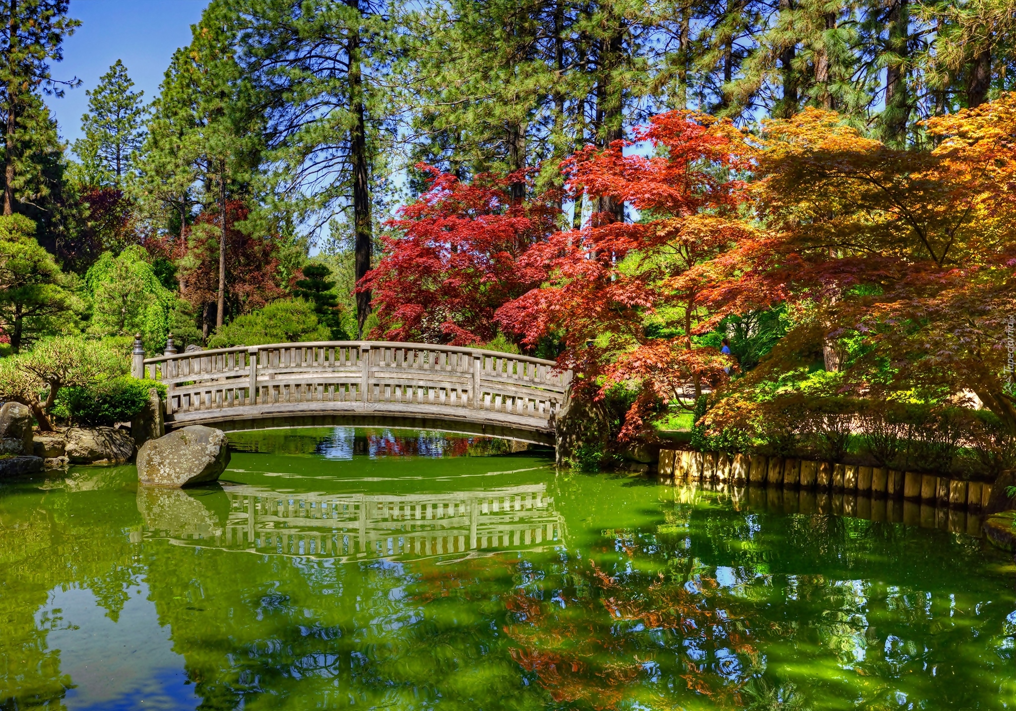 Ogród Nishinomiya Tsutakawa Japanese Garden, Ogród japoński, Staw, Mostek, Miasto Spokane, Stan Waszyngton, Stany Zjednoczone