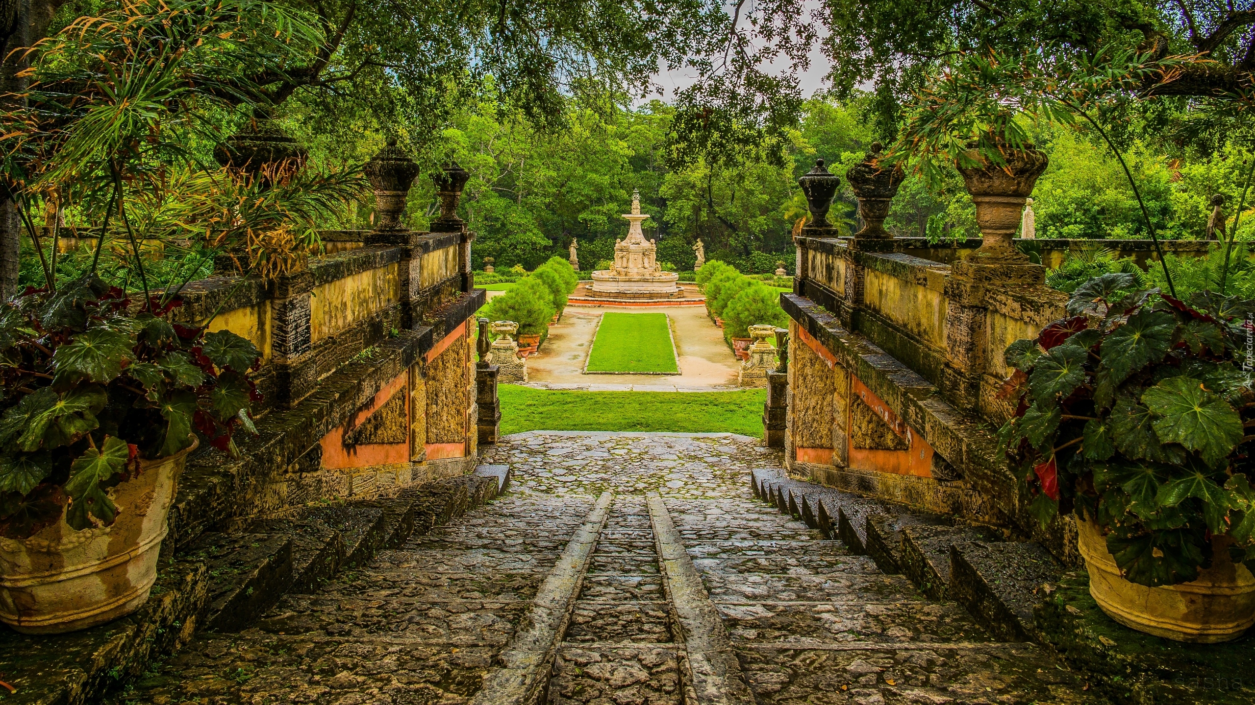 Park, Ogród, Schody, Murek, Vizcaya Museum and Gardens, Miami, Stan Floryda, Stany Zjednoczone