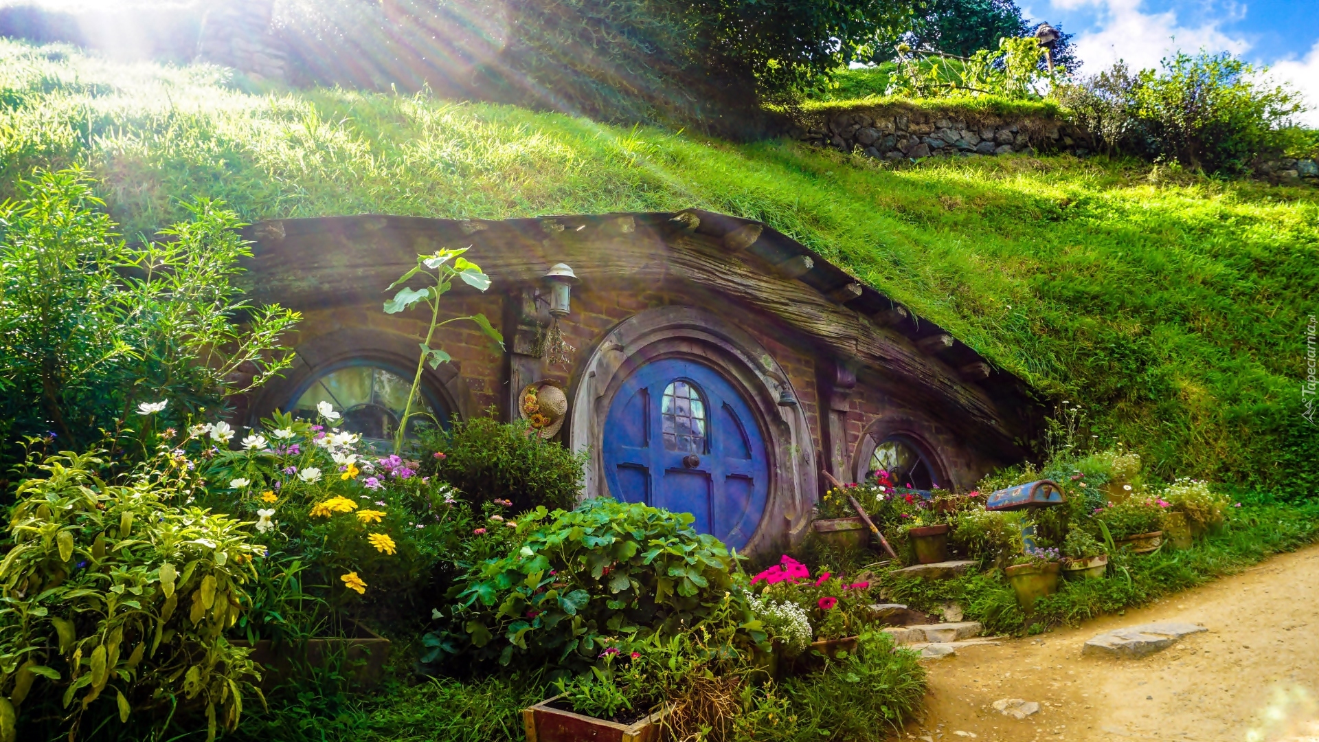 Plan filmowy, Hobbiton, Atrakcja turystyczna, Ogródek, Dom, Hobbit, Miejscowość Matamata, Nowa Zelandia