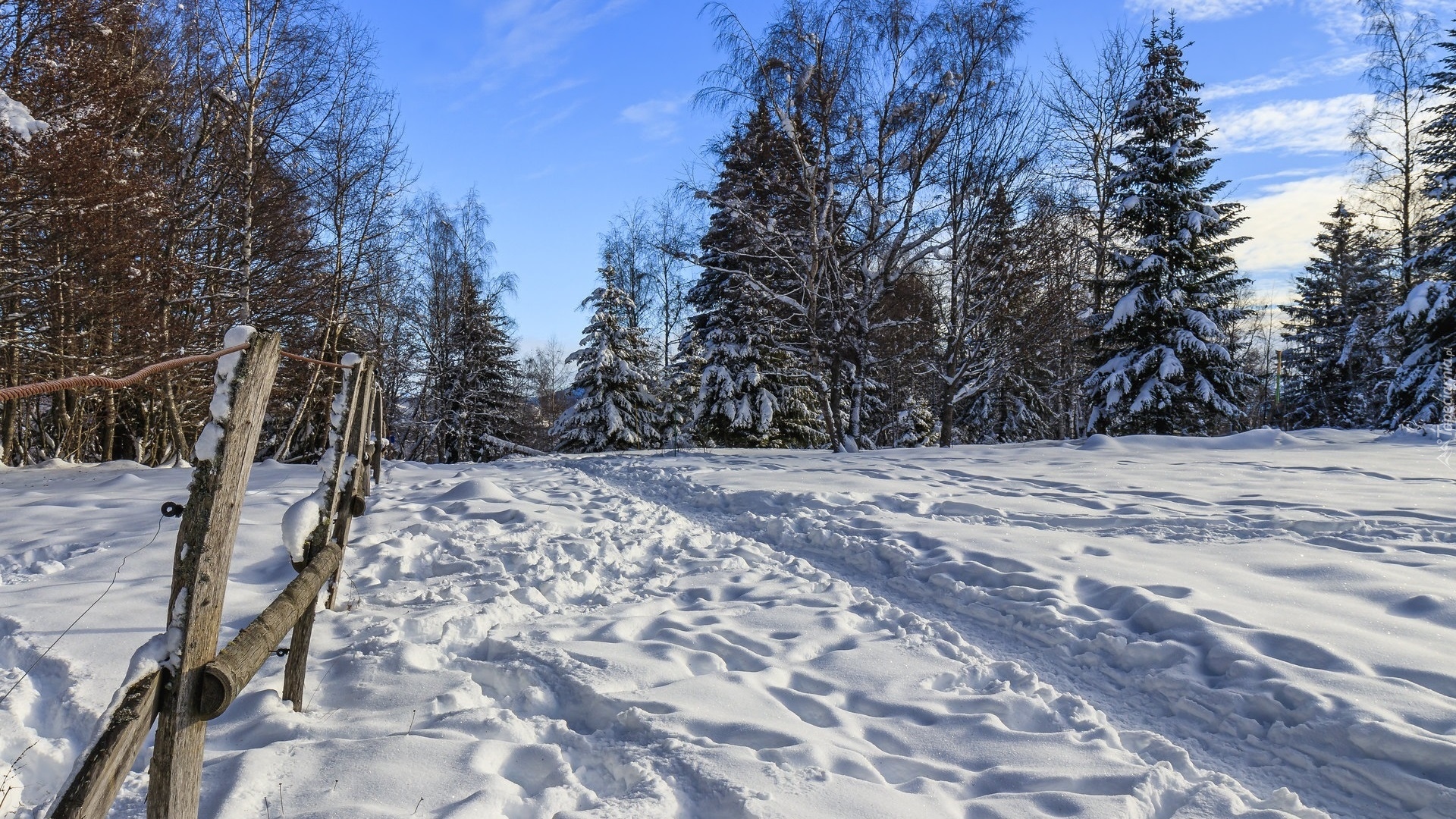 Zima, Śnieg, Ścieżka, Ogrodzenie, Drzewa