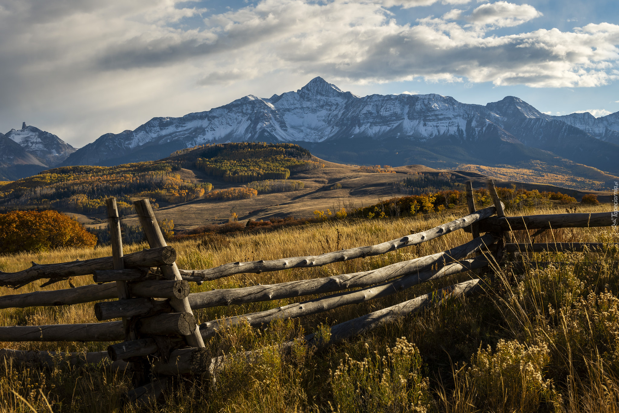 Jesień, Łąka, Ogrodzenie, Las, Góry, San Juan Mountains, Kolorado, Stany Zjednoczone