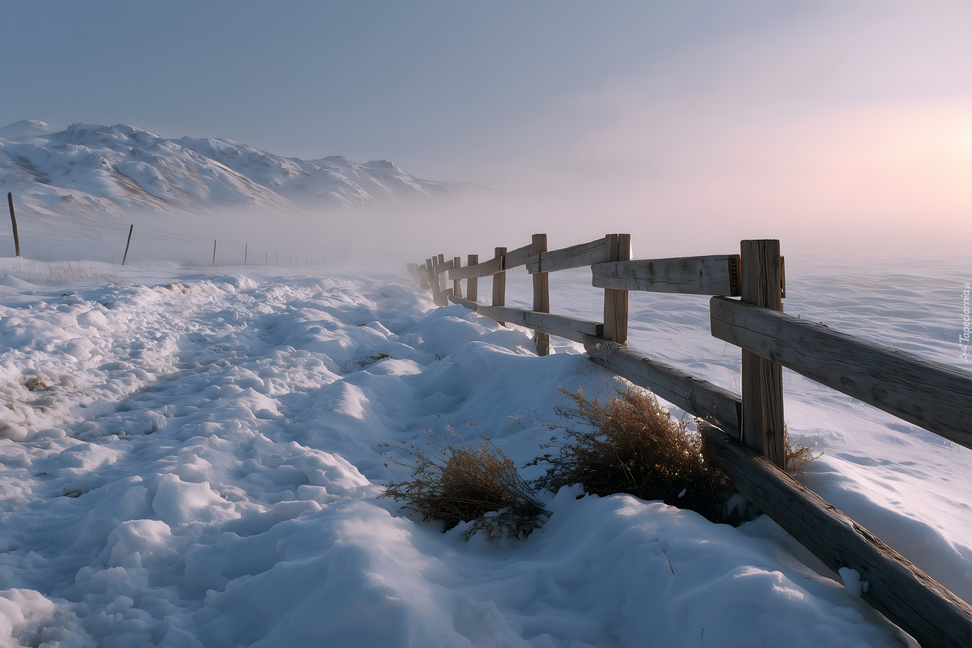 Zima, Ogrodzenie, Góry, Mgła, Rośliny, Grafika AI