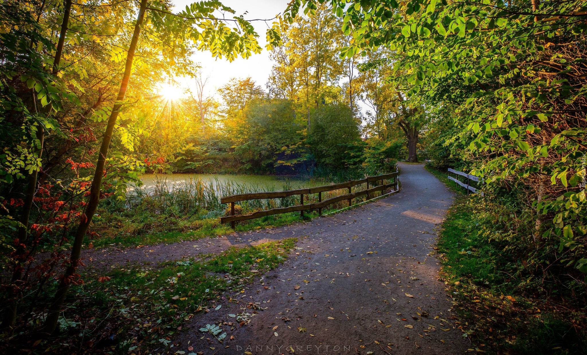 Park, Droga, Ogrodzenie, Staw