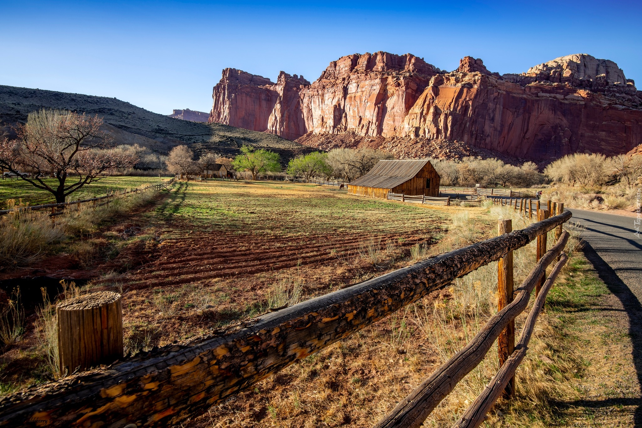 Czerwone, Skały, Stodoła Gifford, Droga, Ogrodzenie, Pola, Drzewa, Park Narodowy Capitol Reef, Utah, Stany Zjednoczone