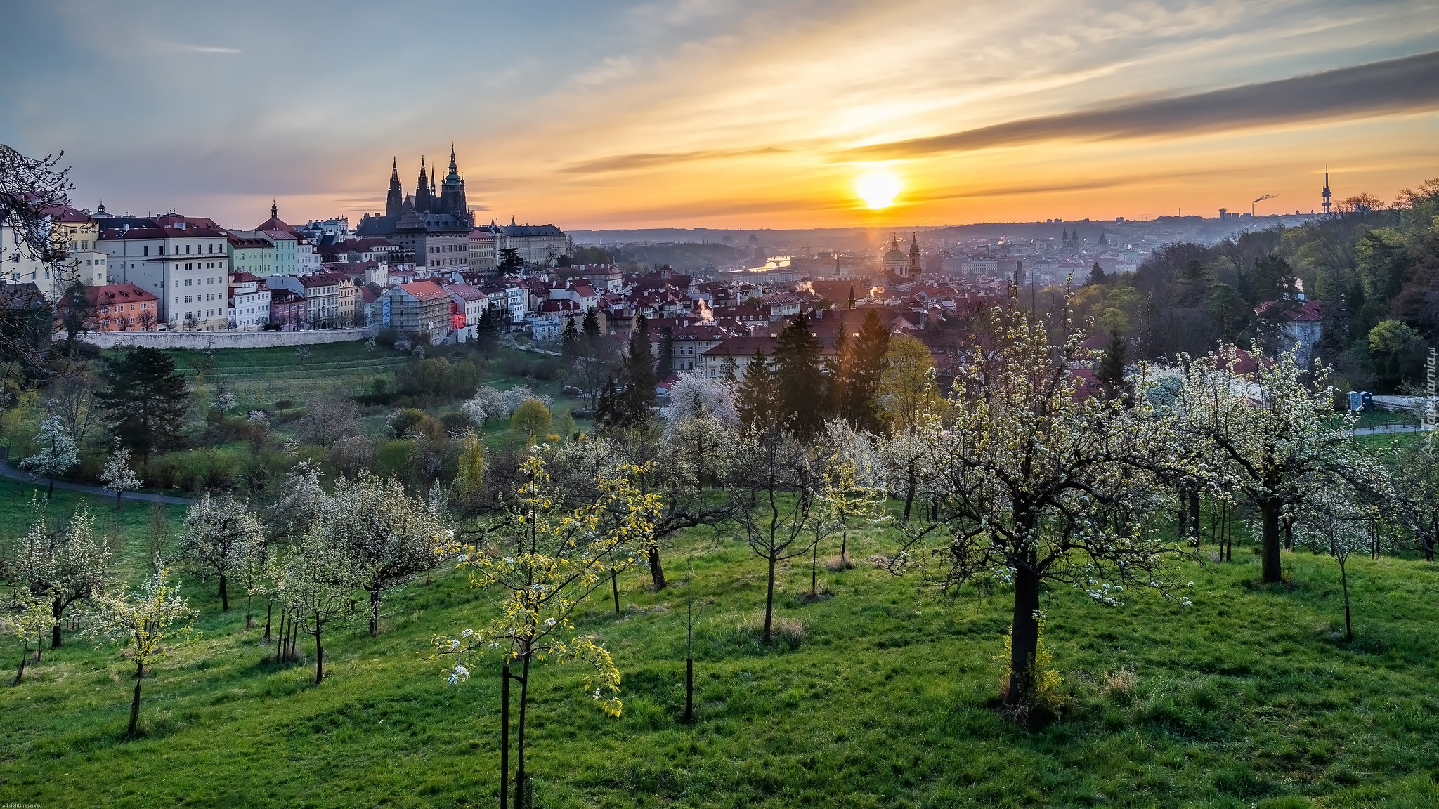 Czechy, Praga, Drzewa, Wschód słońca, Wiosna