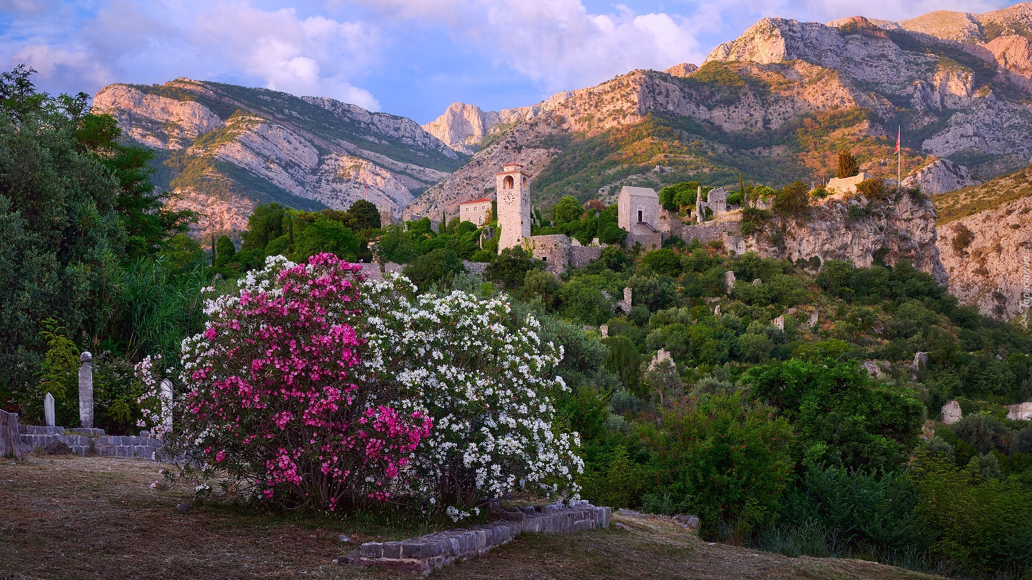 Krzew, Kwiaty, Góry, Wzgórza, Twierdza Stary Bar, Stari Bar, Czarnogóra