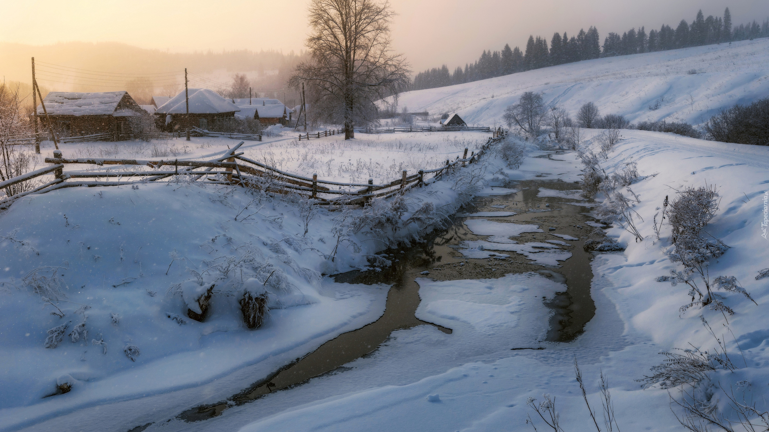 Zima, Śnieg, Drzewa, Domy, Rzeka, Wzgórza, Ogrodzenie