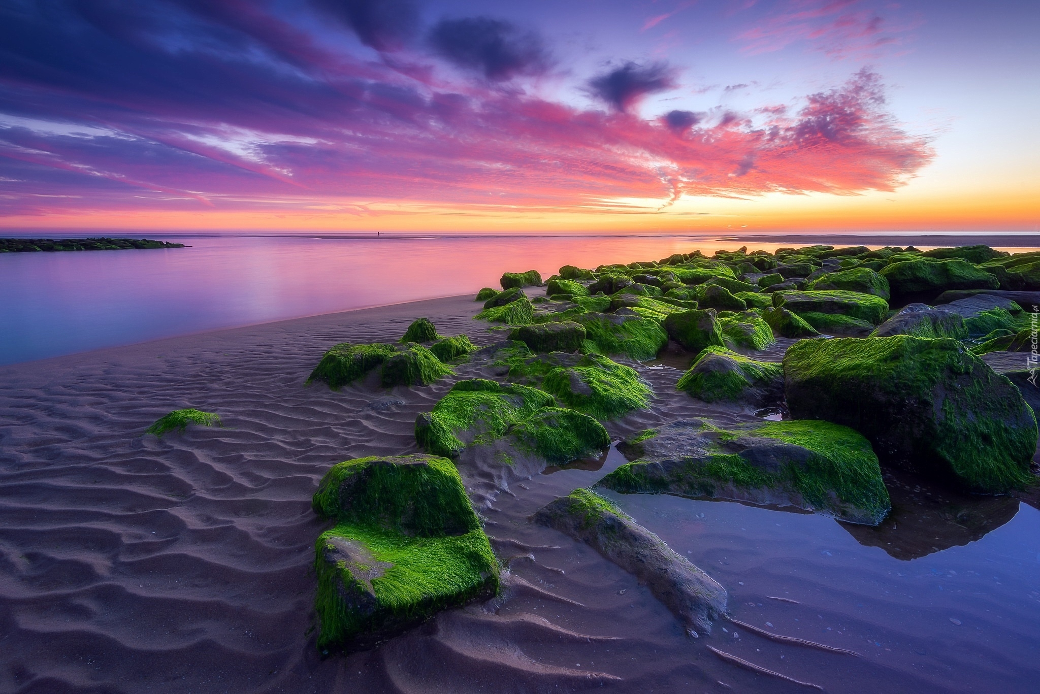 Morze, Zachód słońca, Chmury, Plaża, Omszałe, Kamienie, Miejscowość Katwijk, Holandia