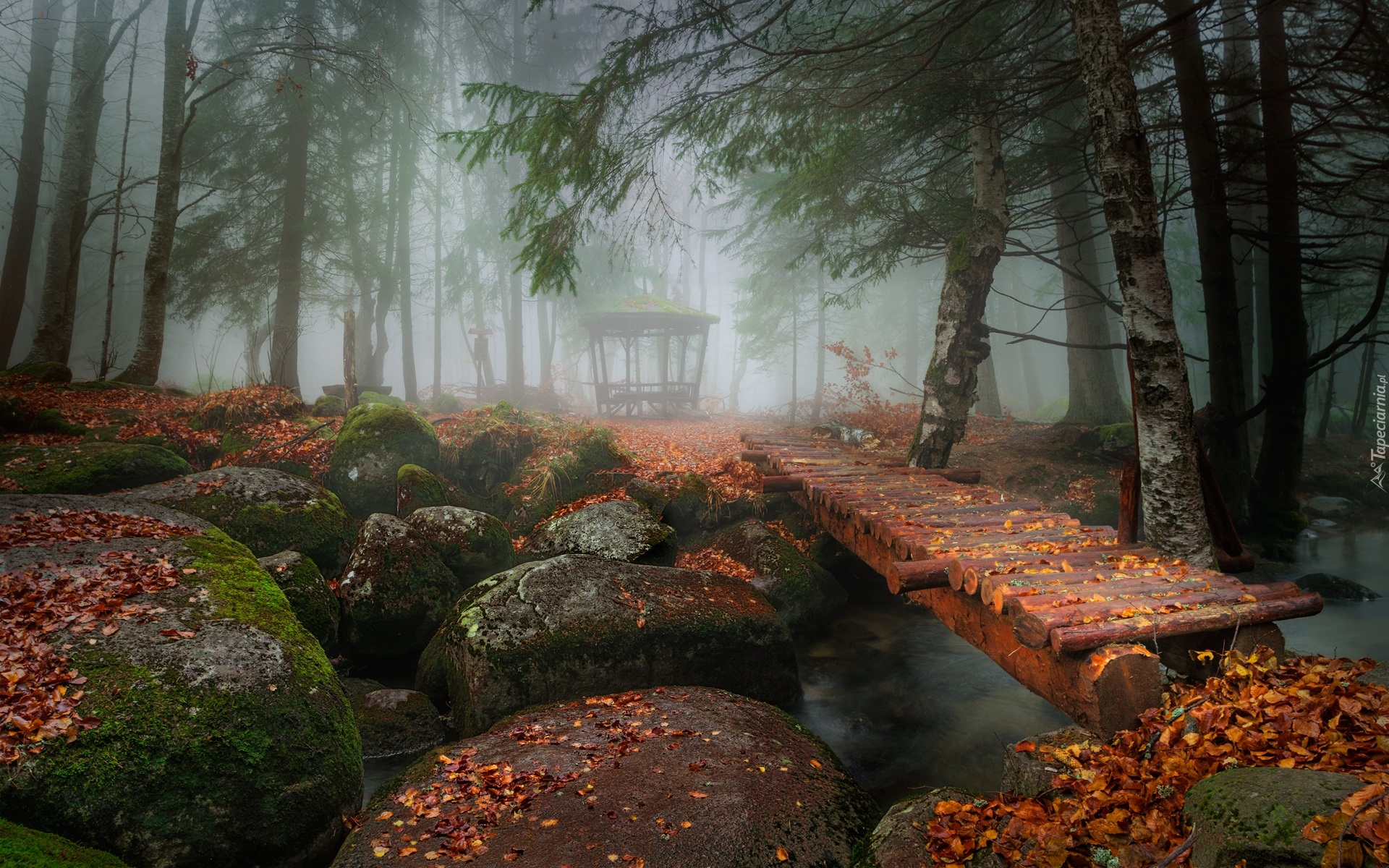 Park, Las, Rzeka, Omszałe, Kamienie, Kładka, Liście, Mgła, Altanka