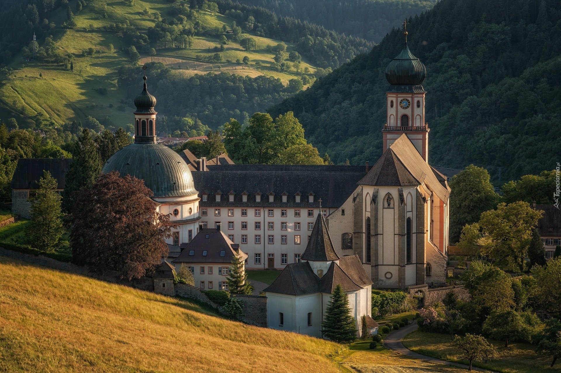 Klasztor, Opactwo św Trudperta, Drzewa, Góry, Munstertal, Niemcy