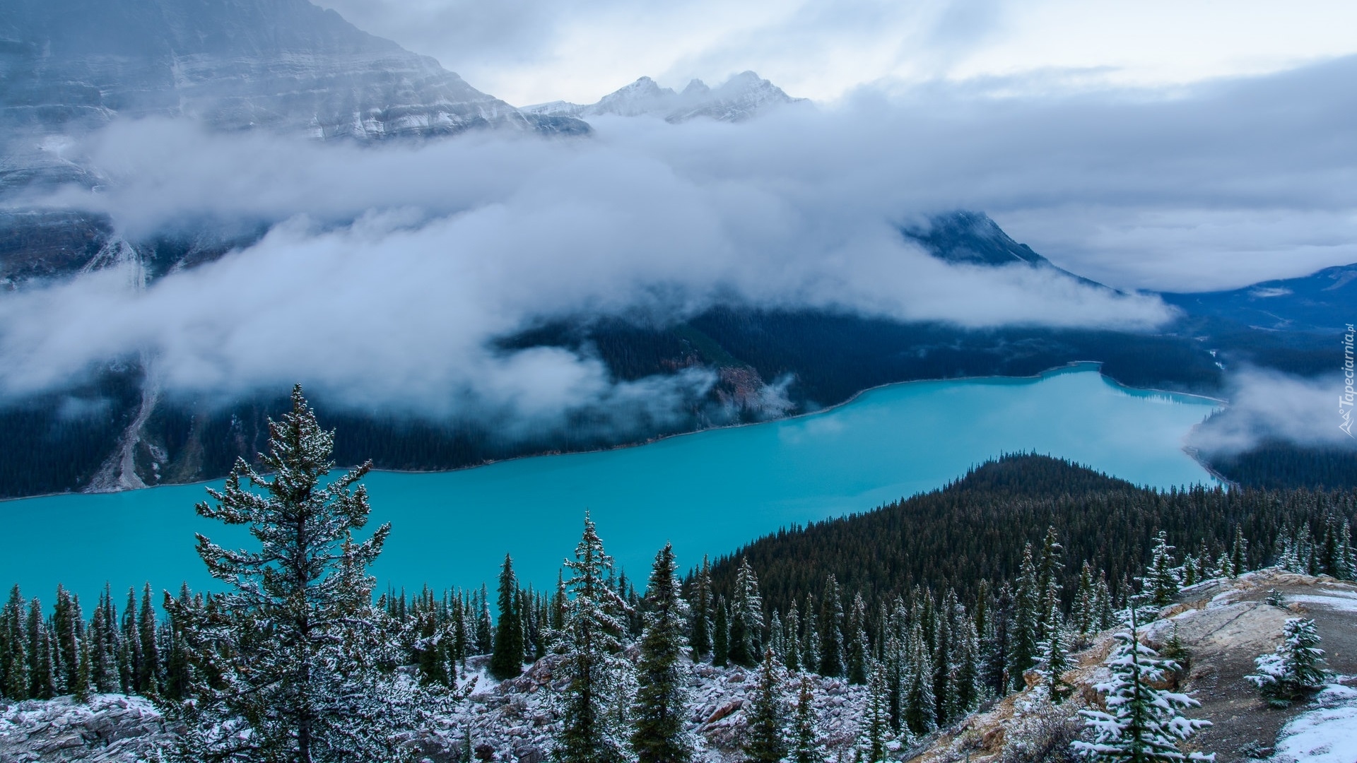 Góry, Jezioro, Peyto Lake, Opadająca, Mgła, Drzewa, Śnieg, Park Narodowy Banff, Alberta, Kanada