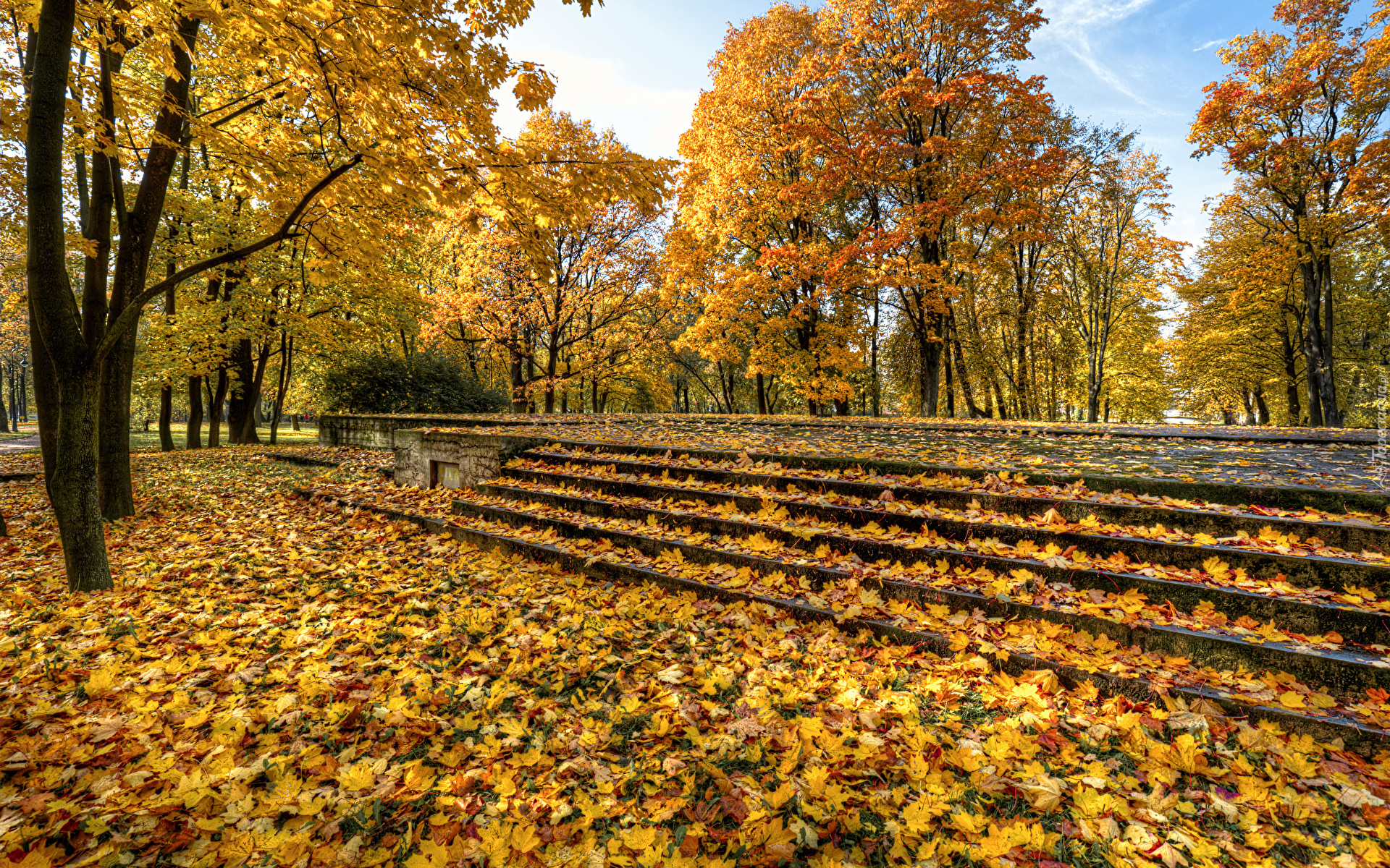 Park, Drzewa, Schody, Pożółkłe, Liście, Jesień