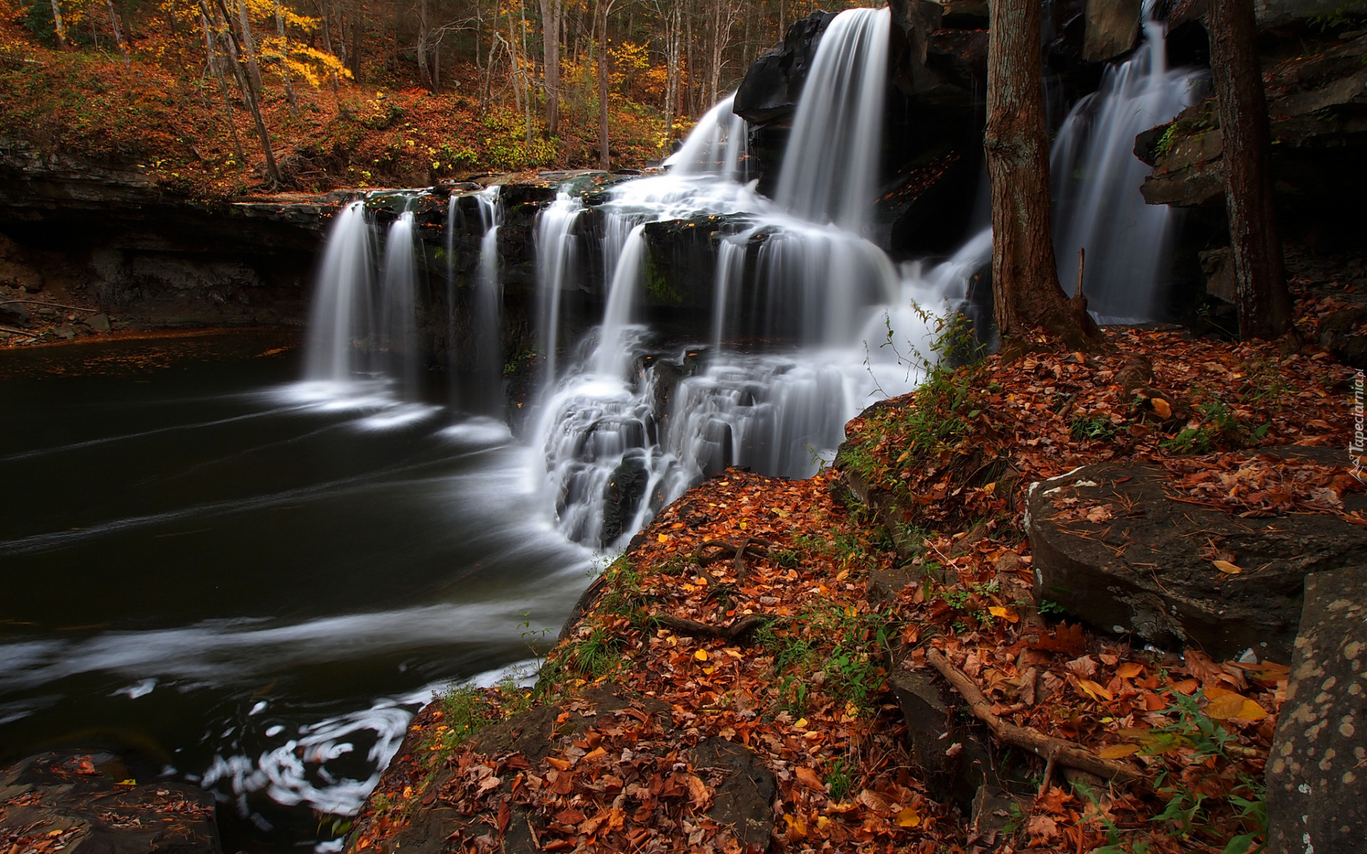 Las, Drzewa, Wodospad, Brush Creek Falls, Skały, Opadłe, Liście, Jesień, Wirginia Zachodnia, Stany Zjednoczone