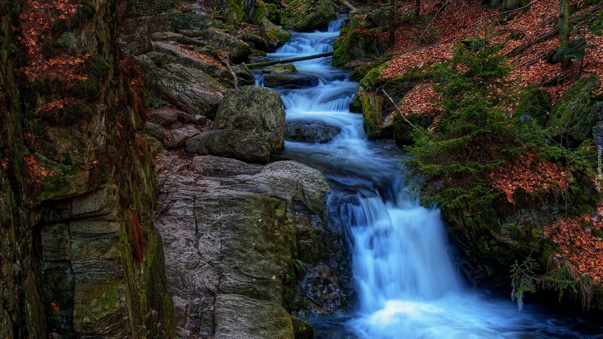 Wodospad, Resov Falls, Las, Skały, Rośliny, Brązowe, Liście, Czechy