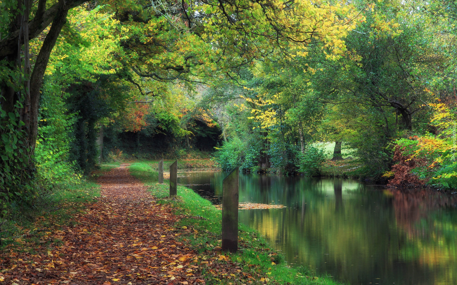 Park, Rzeka, Drzewa, Ścieżka, Opadłe, Liście