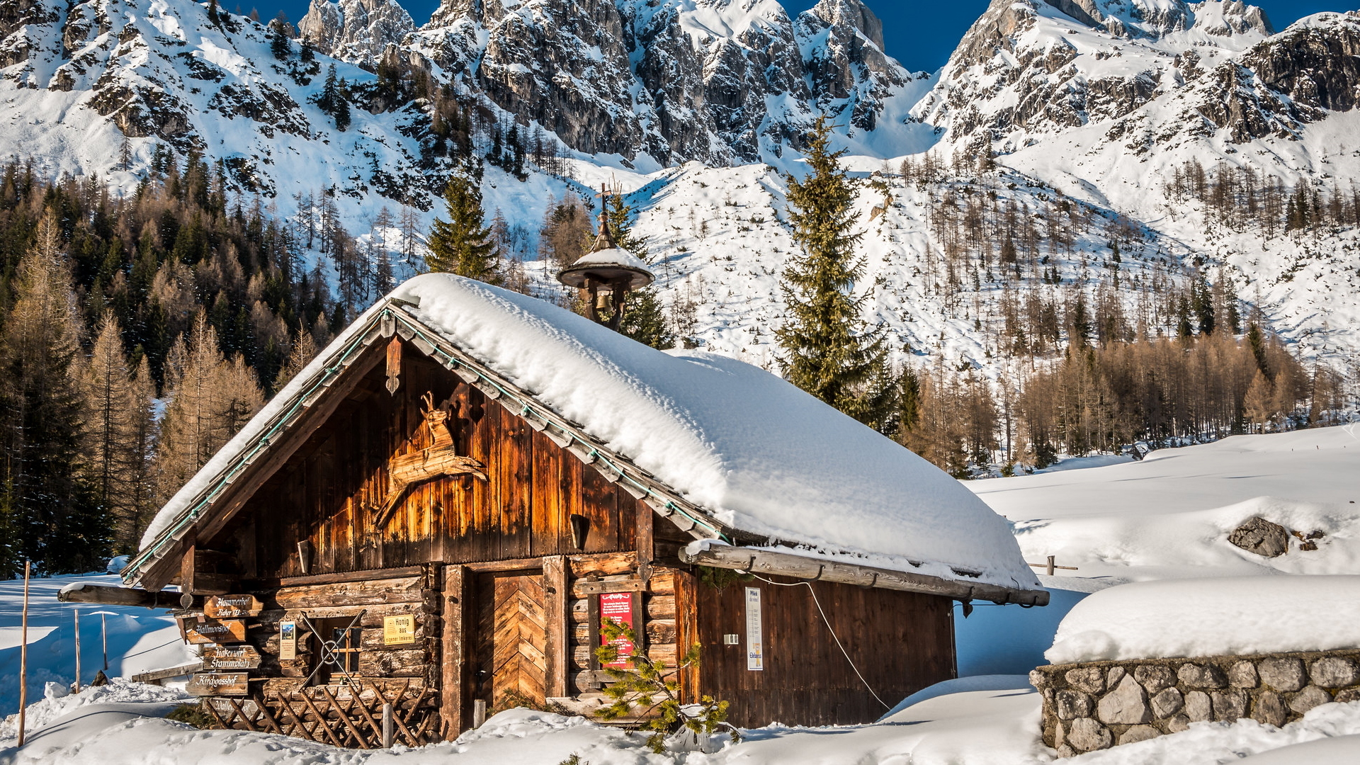 Zima, Śnieg, Chata, Drzewa, Świerki, Góry, Alpy, Ramsau am Dachstein, Austria