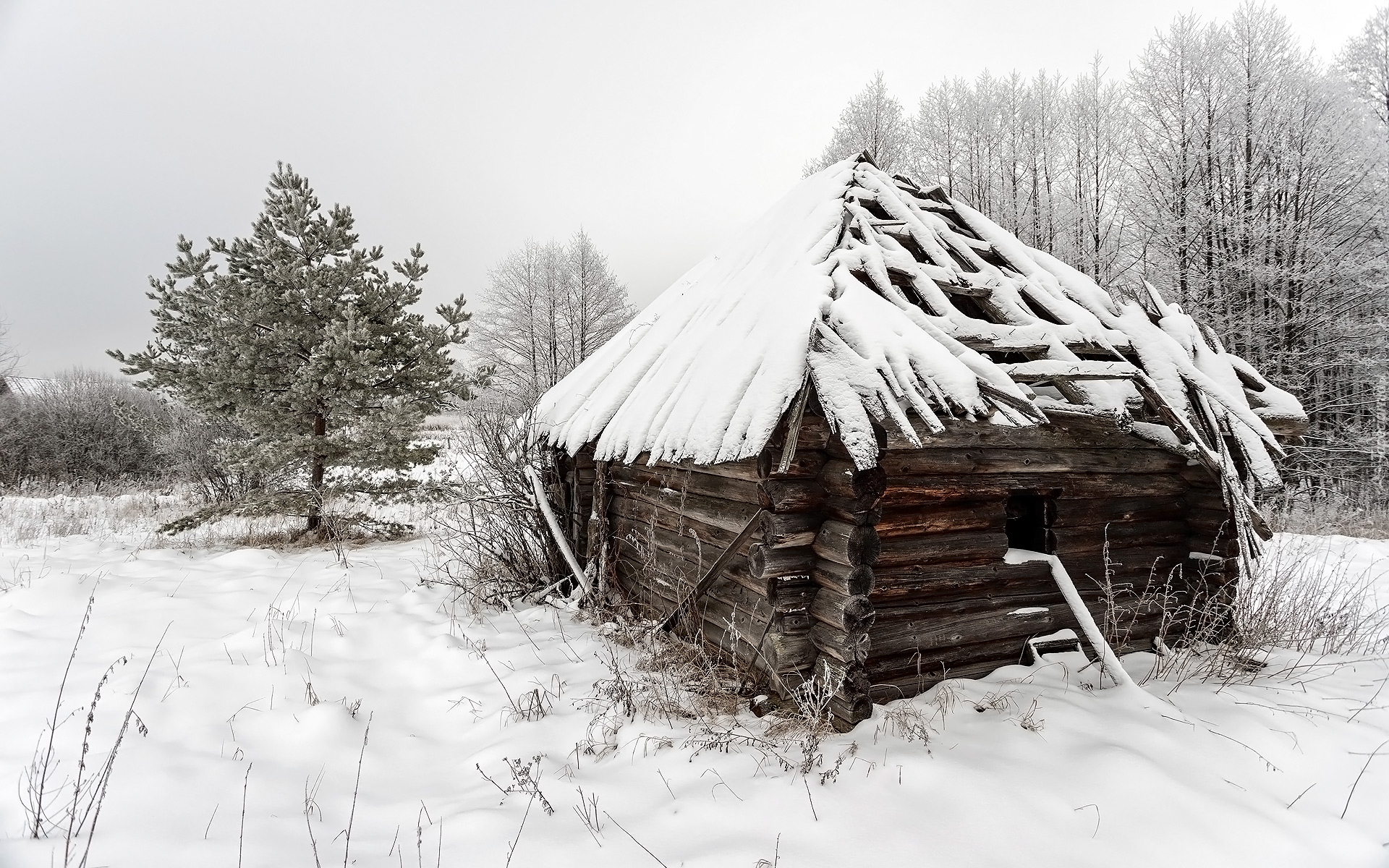 Zima, Śnieg, Drzewa, Drewniana, Szopa, Domek