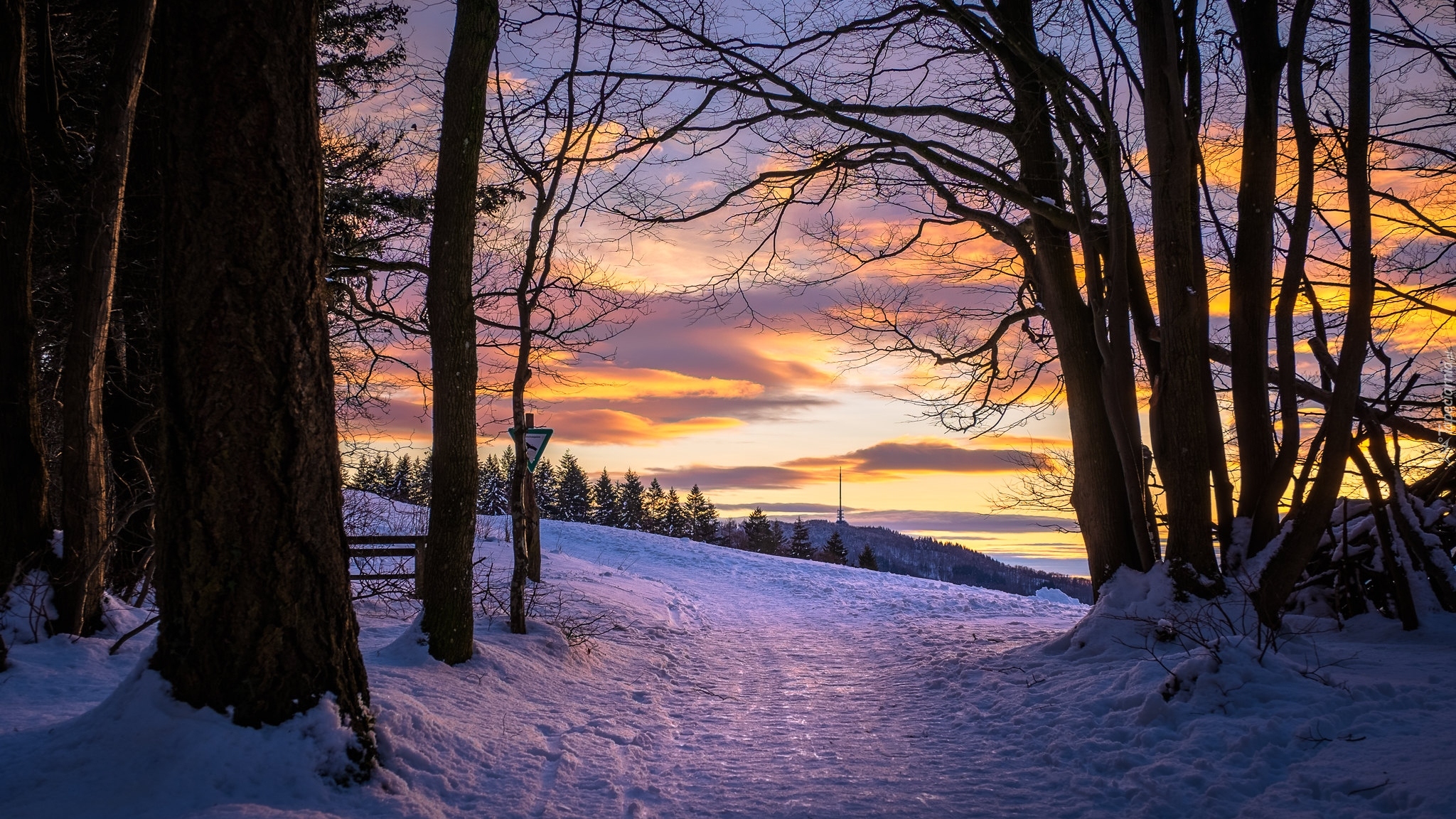 Zima, Wzgórza, Kaiserstuhl, Drzewa, Droga, Zachód słońca, Badenia-Wirtembergia, Niemcy