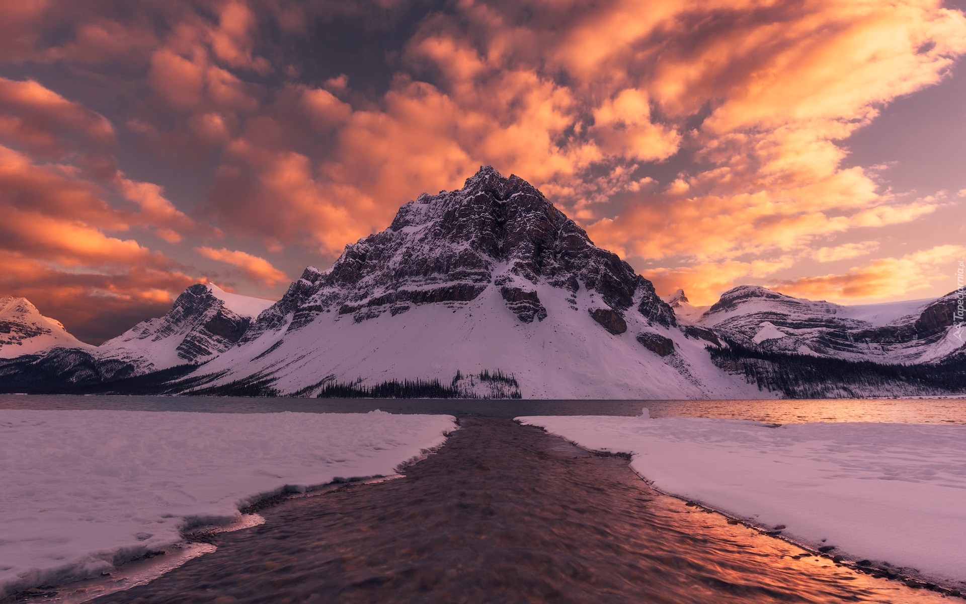 Jezioro, Bow Lake, Park Narodowy Banff, Góry, Szczyt, Crowfoot Mountain, Alberta, Kanada