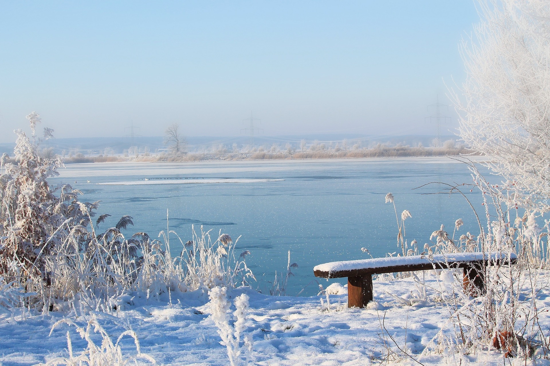 Zima, Śnieg, Ławka, Jezioro, Oszronione, Rośliny