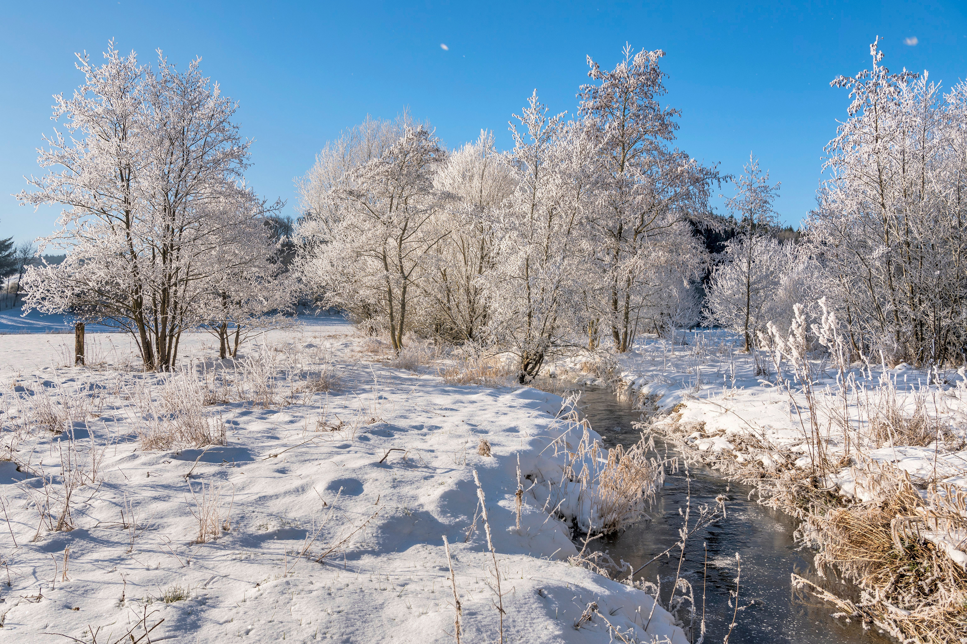 Zima, Śnieg, Rzeka, Ośnieżone, Drzewa, Trawy