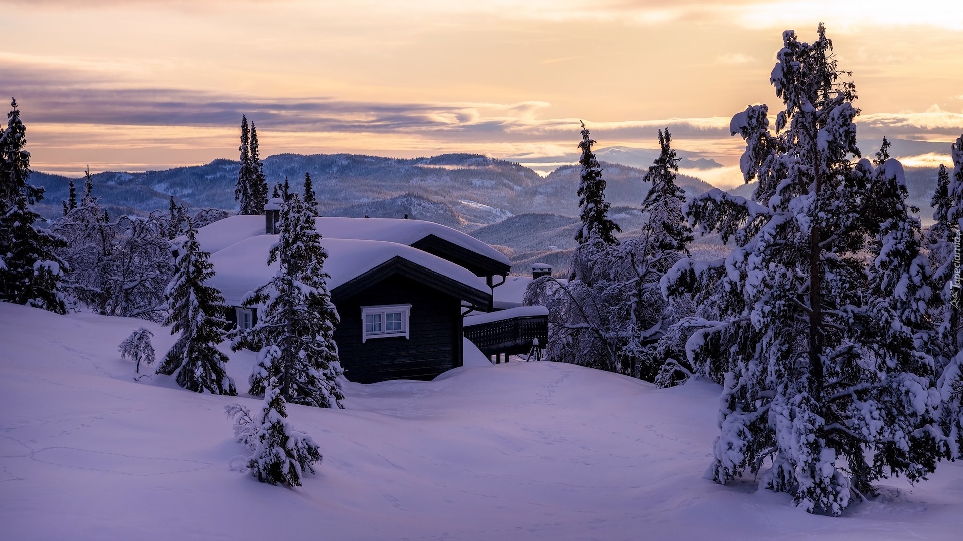 Zima, Góry, Domy, Drzewa, Śnieg, Valdres, Norwegia