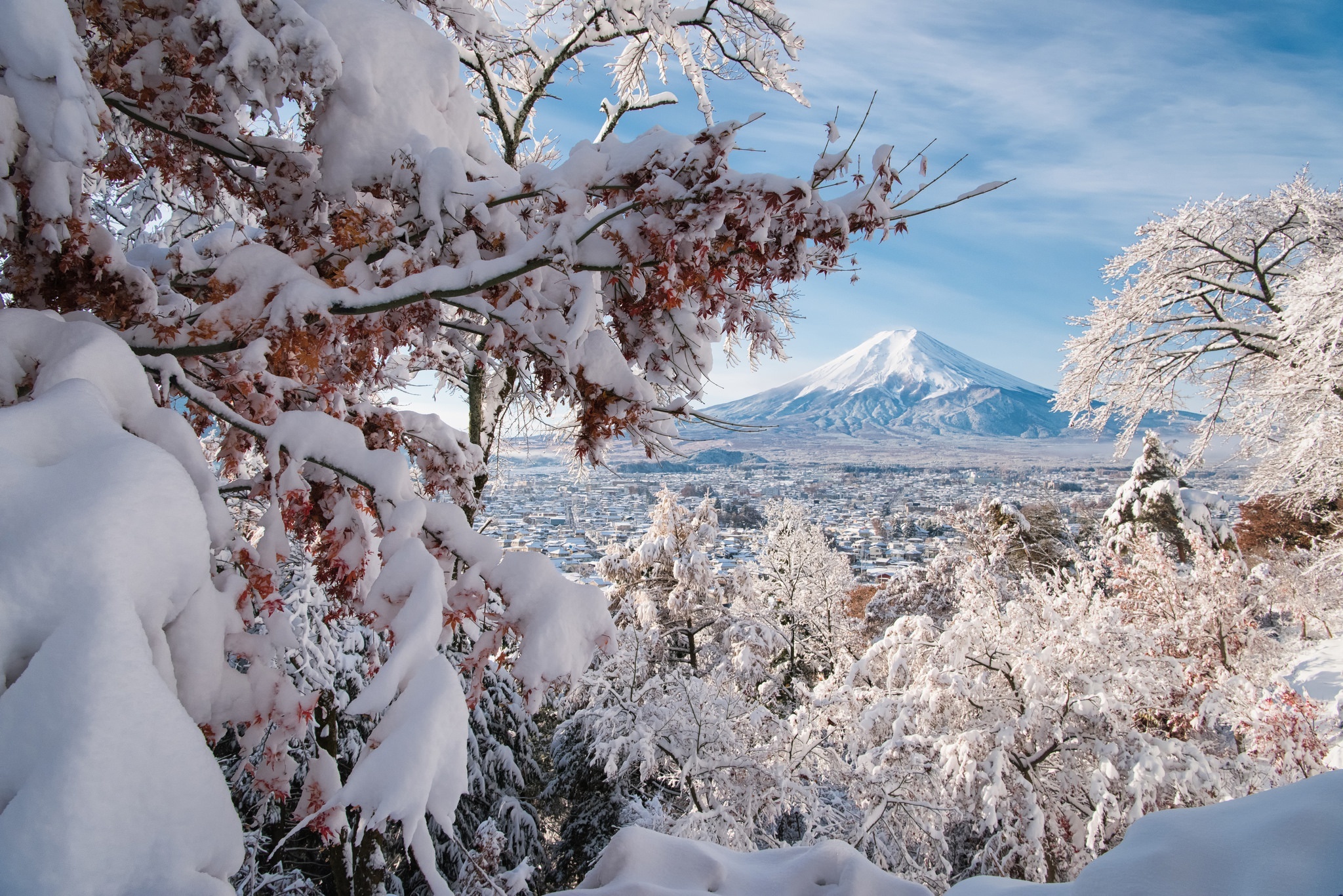 Zima, Drzewa, Dolina, Góra, Fuji, Japonia