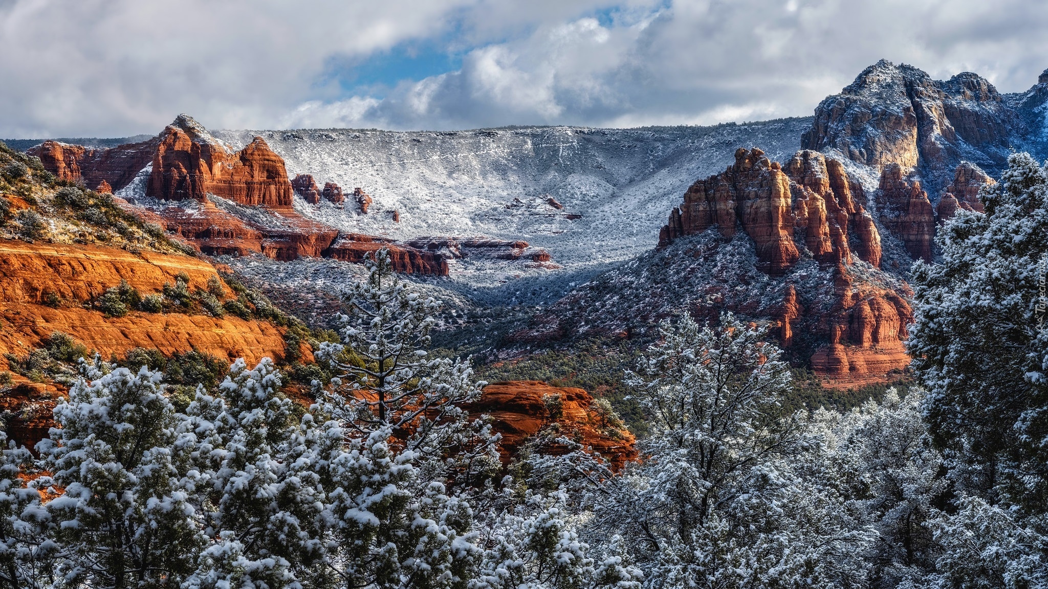 Góry, Skały, Śnieg, Drzewa, Sedona, Arizona, Stany Zjednoczone